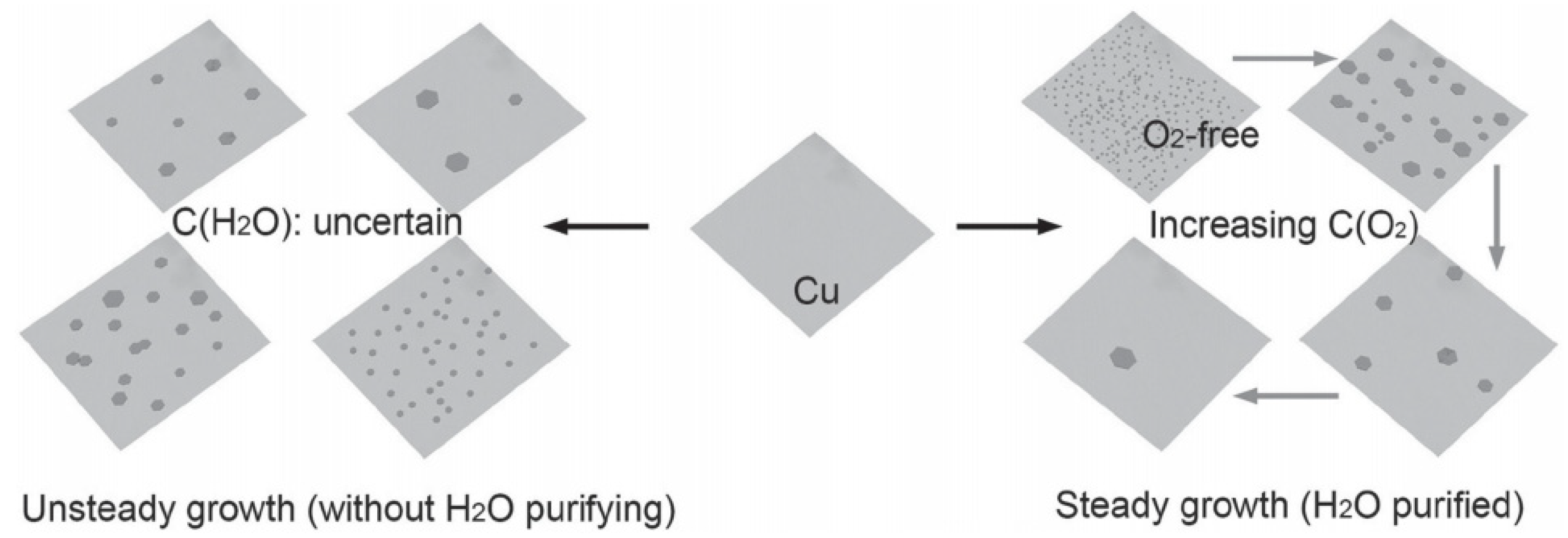 Crystals 12 00025 g001