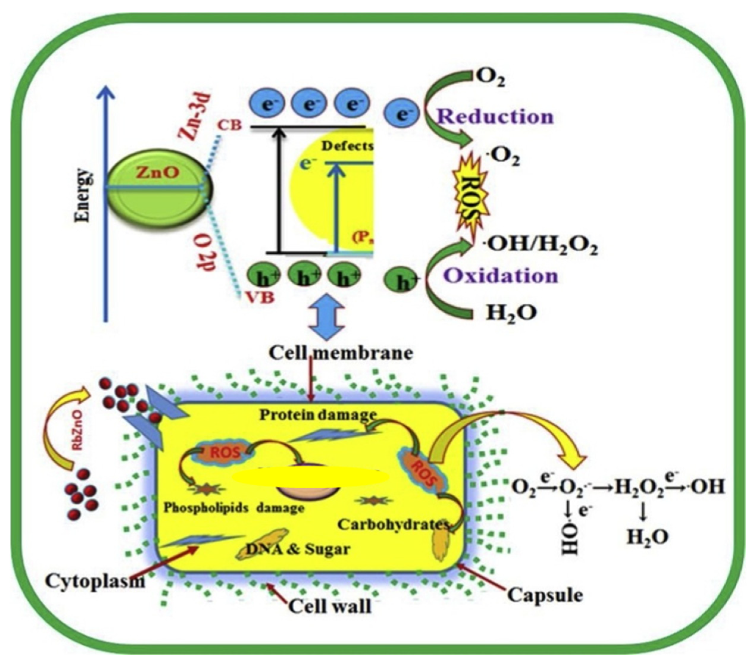 Crystals 12 00039 g005