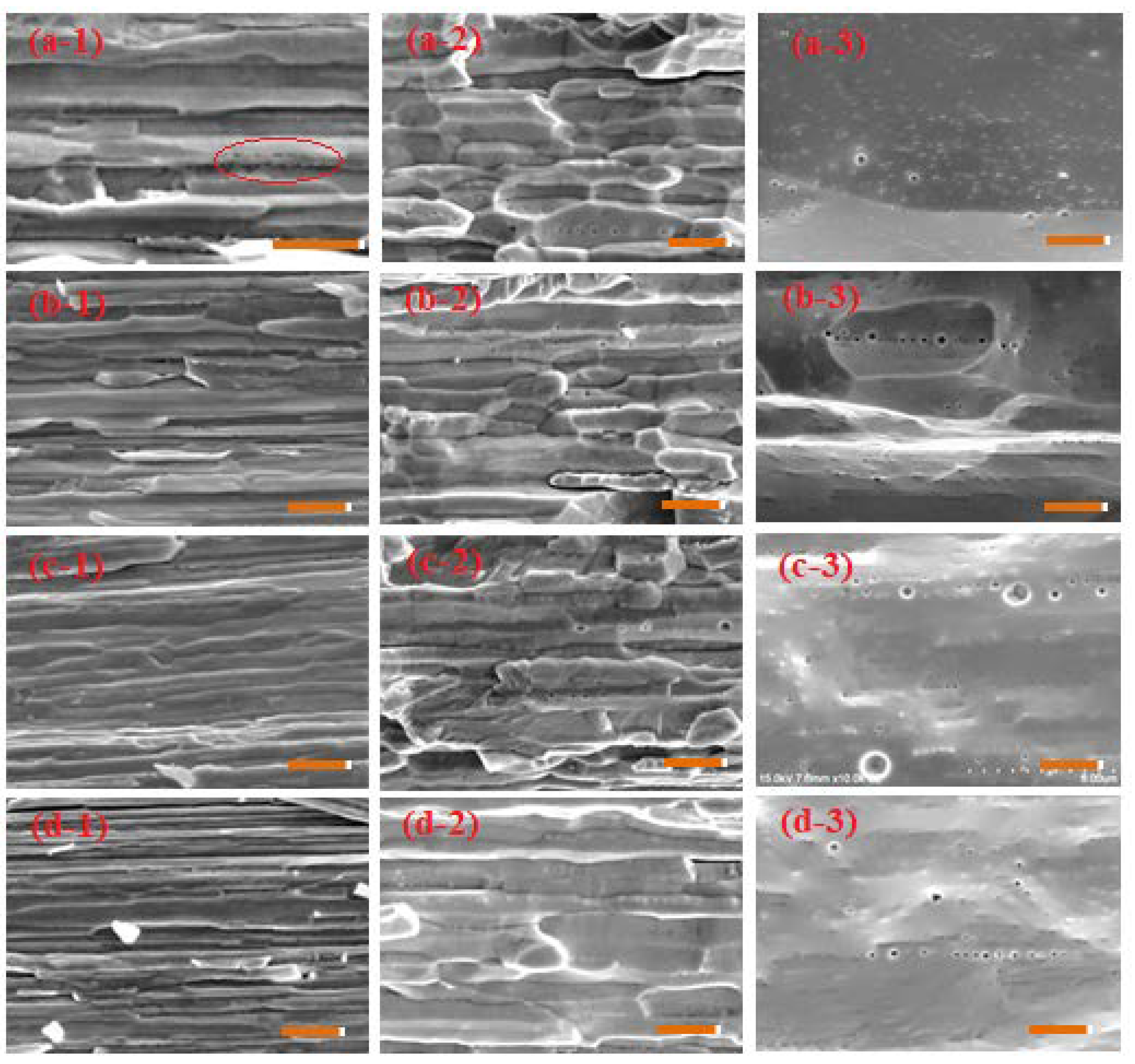 Crystals 12 00063 g005