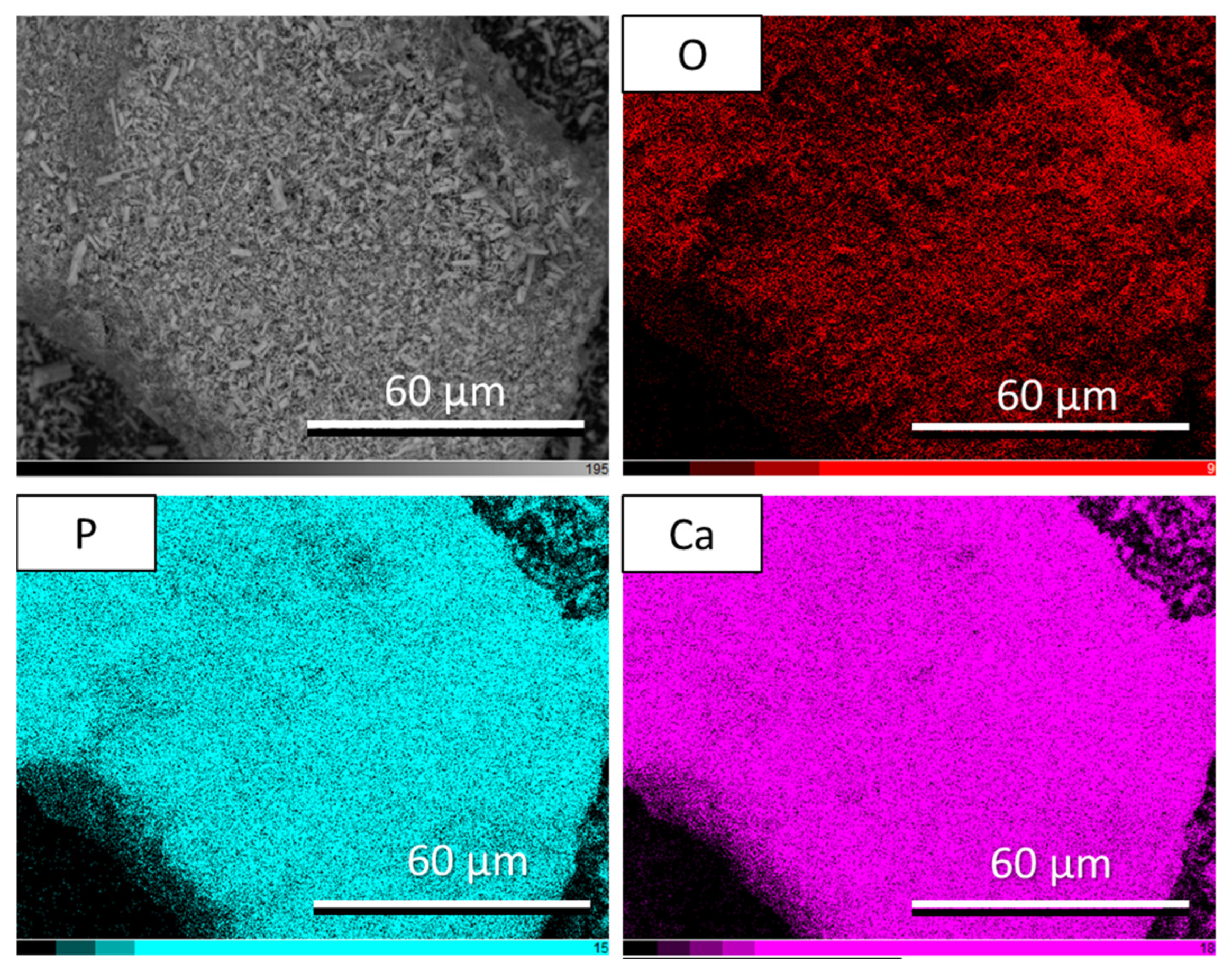 Crystals 12 00096 g002