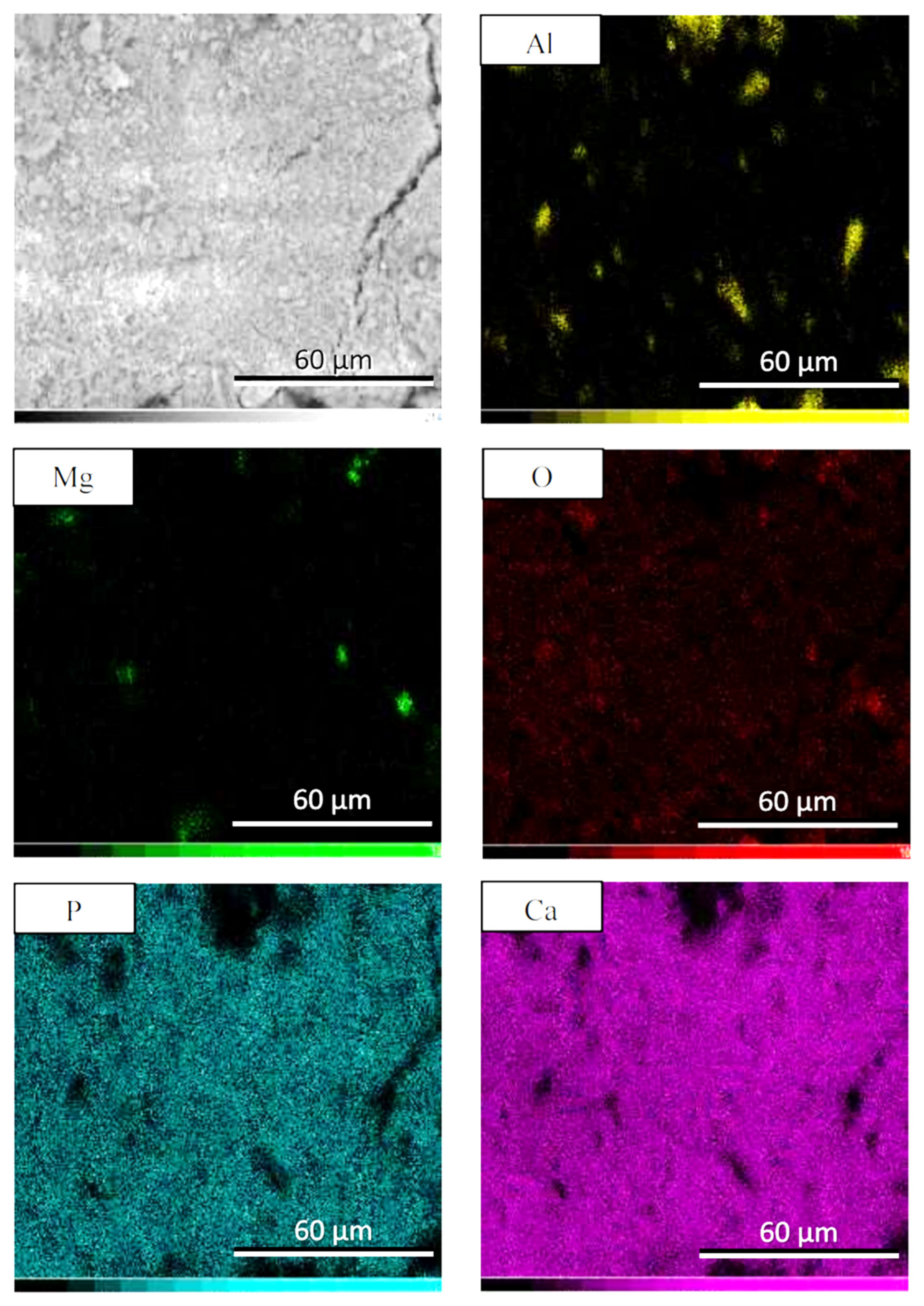 Crystals 12 00096 g007