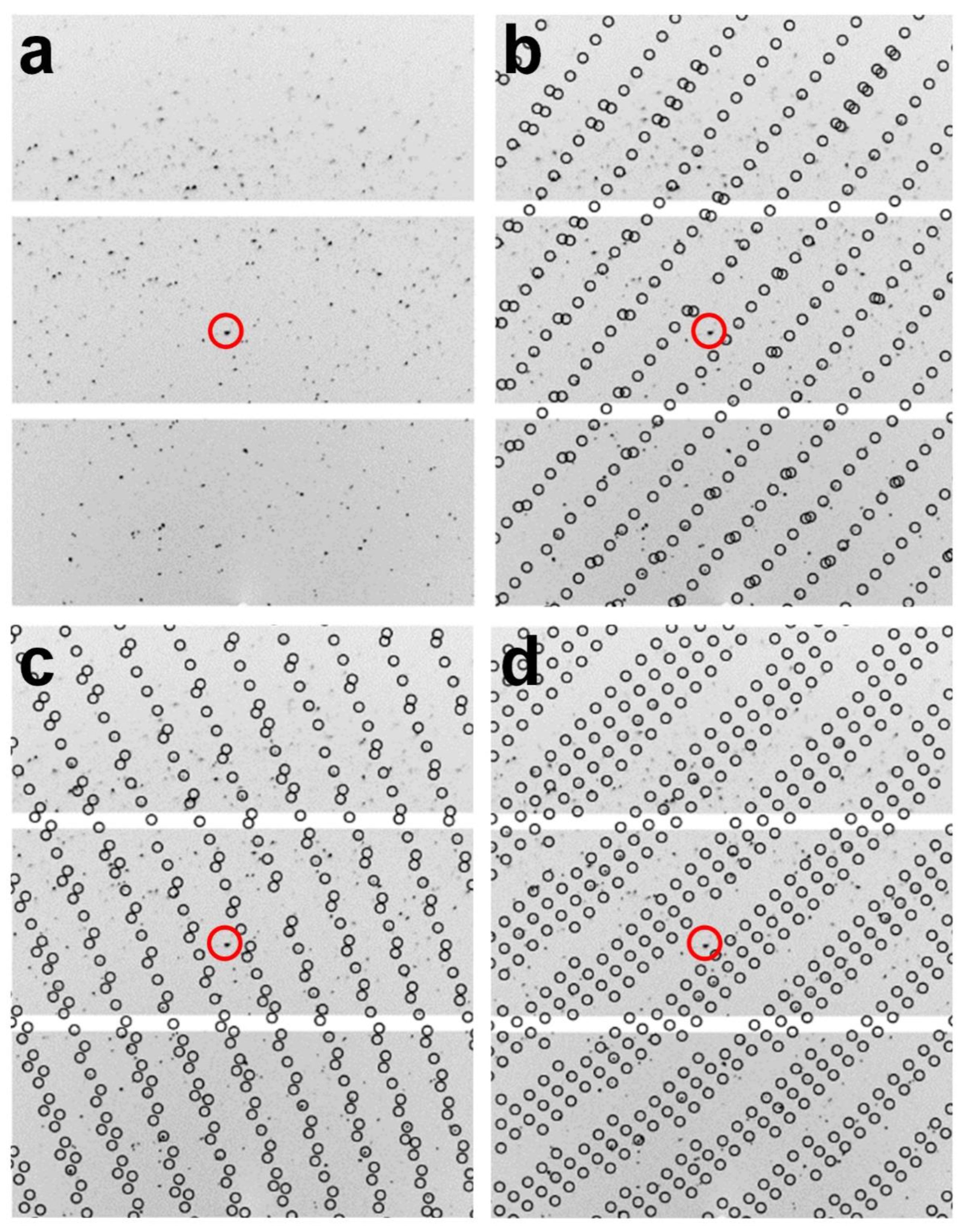 Crystals 12 00103 g003