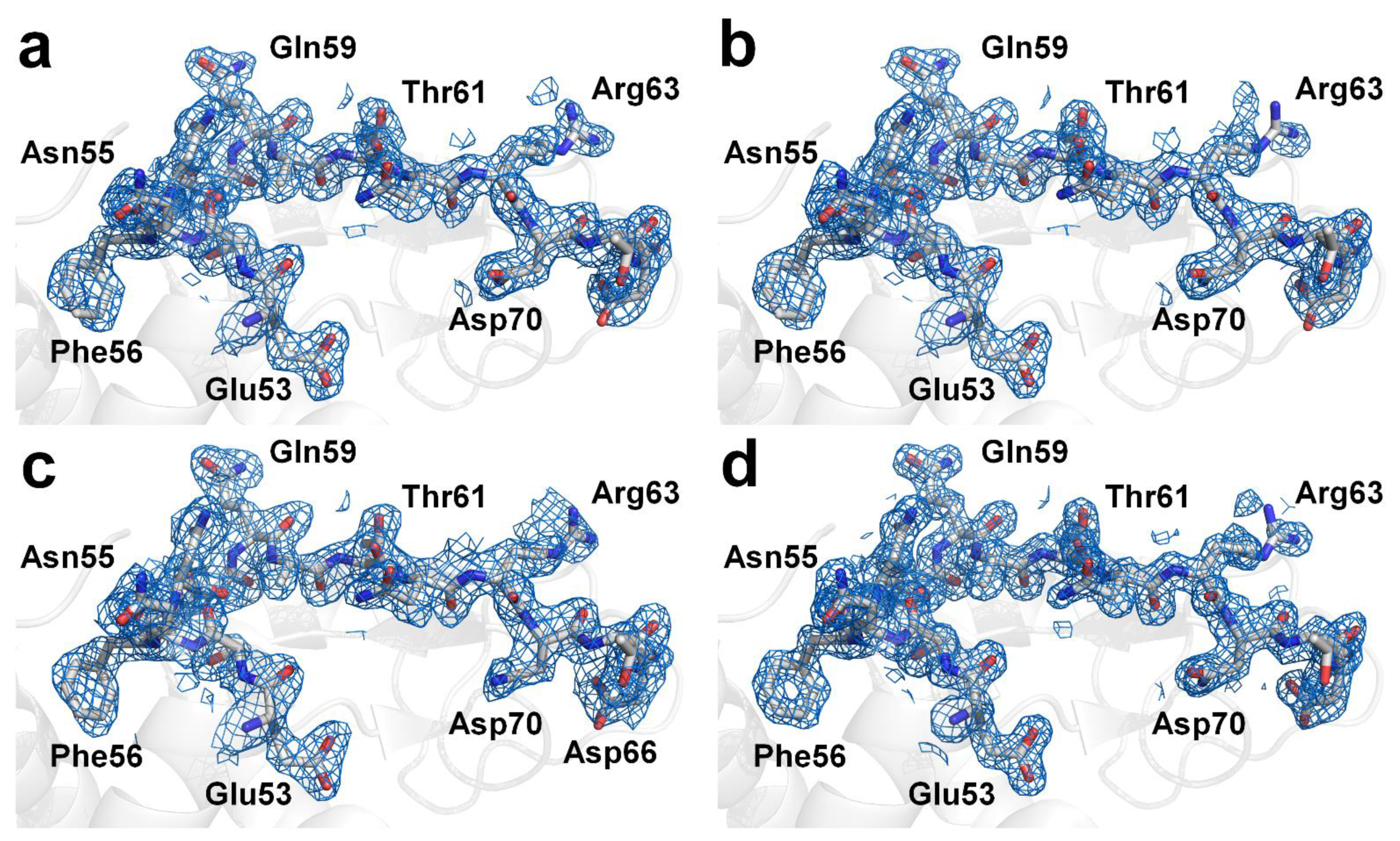 Crystals 12 00103 g004
