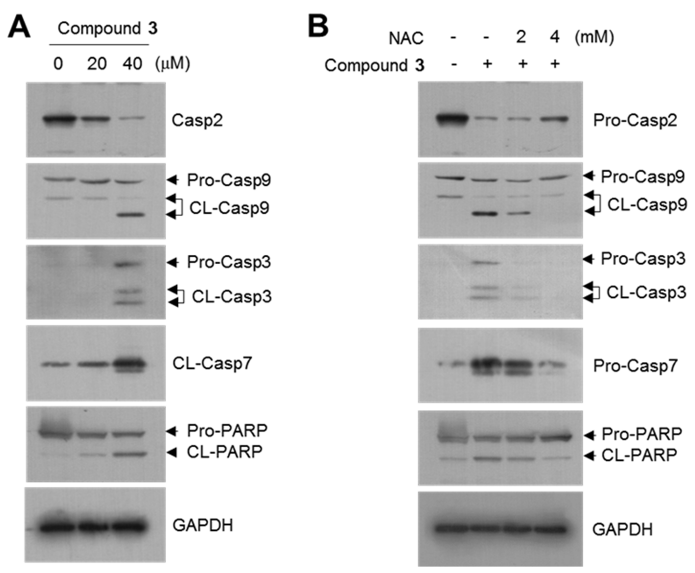 Crystals 12 00108 g009