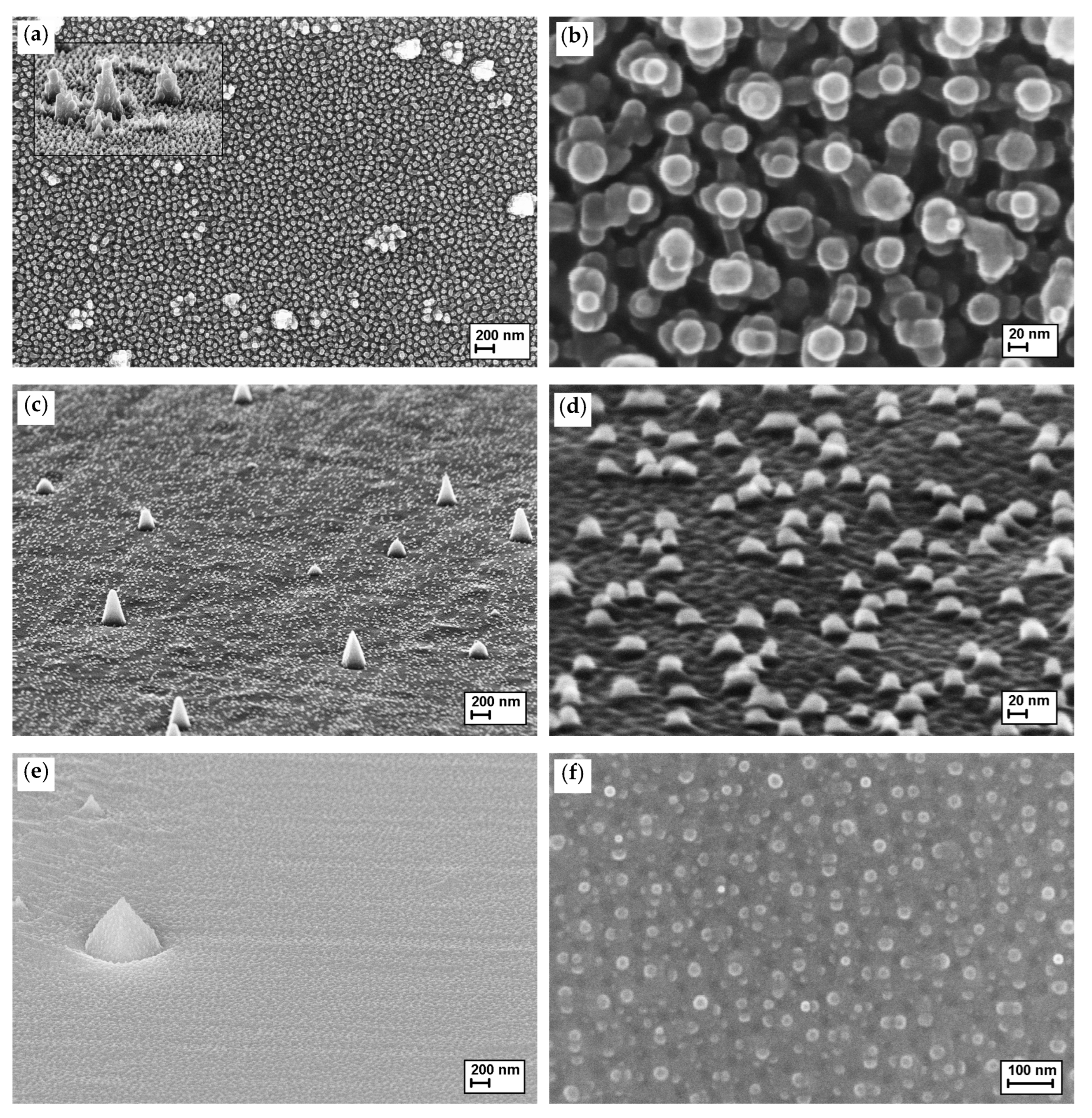 Crystals 12 00111 g002