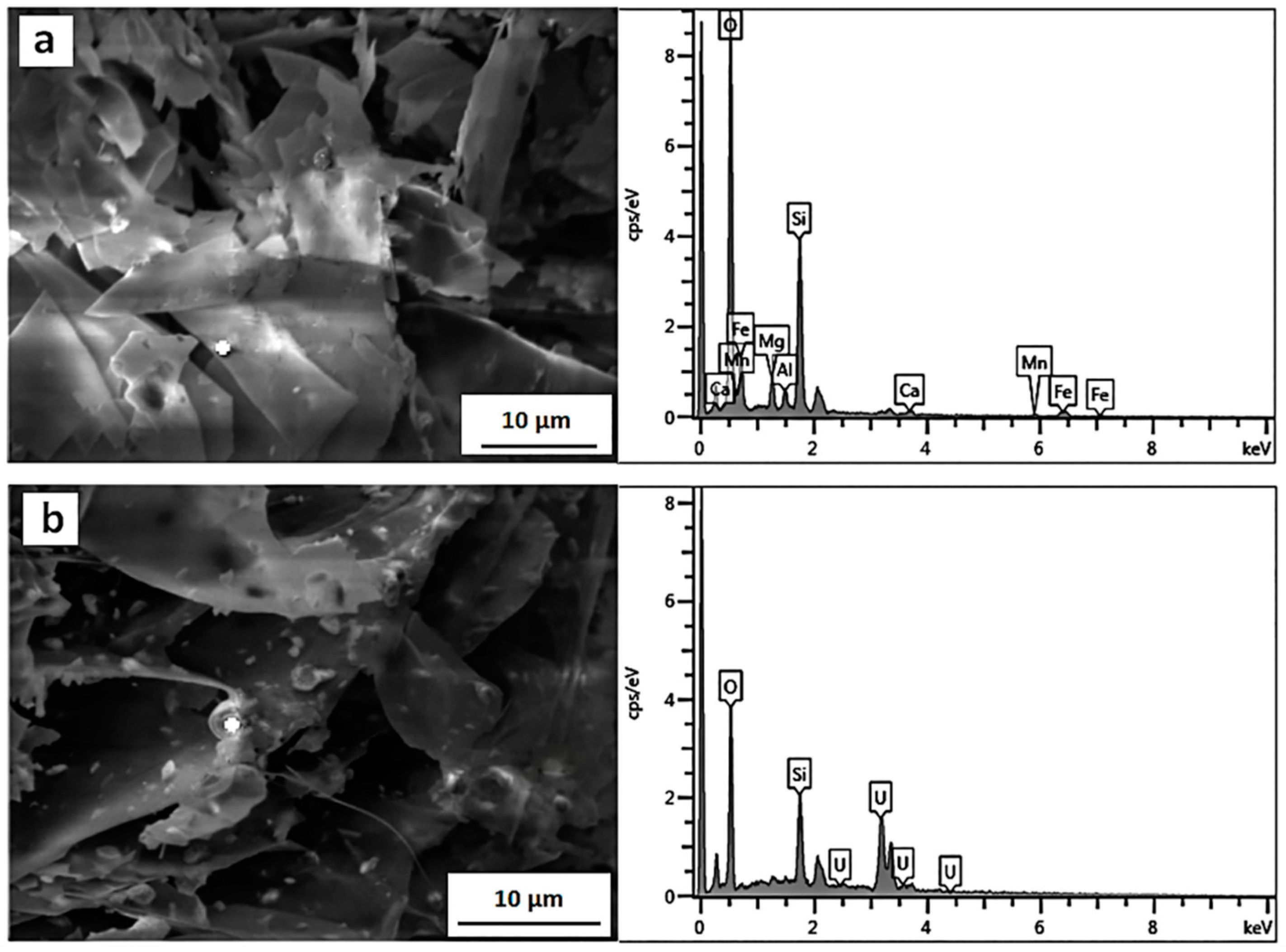 Crystals 12 00122 g007