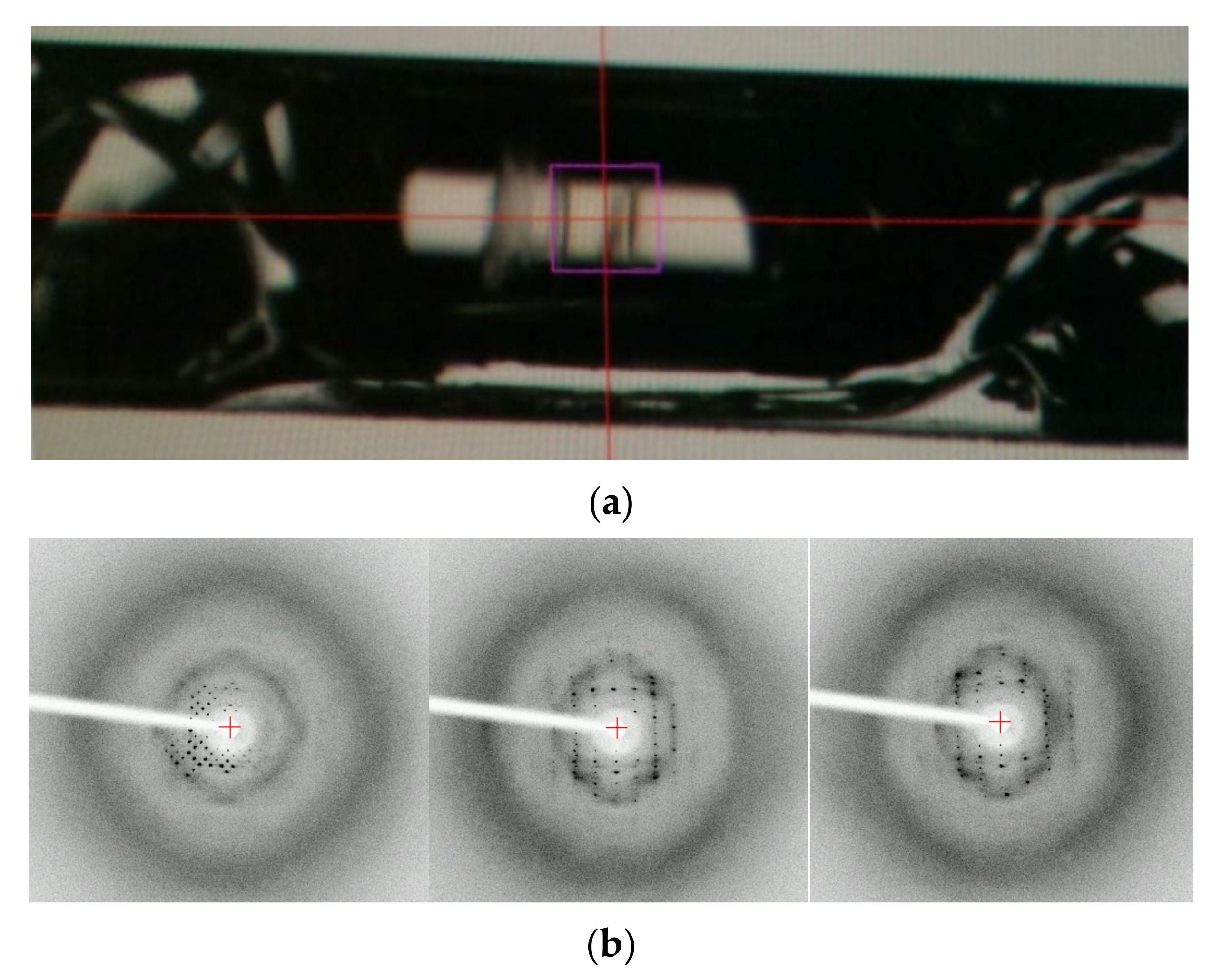 Crystals 12 00129 g001