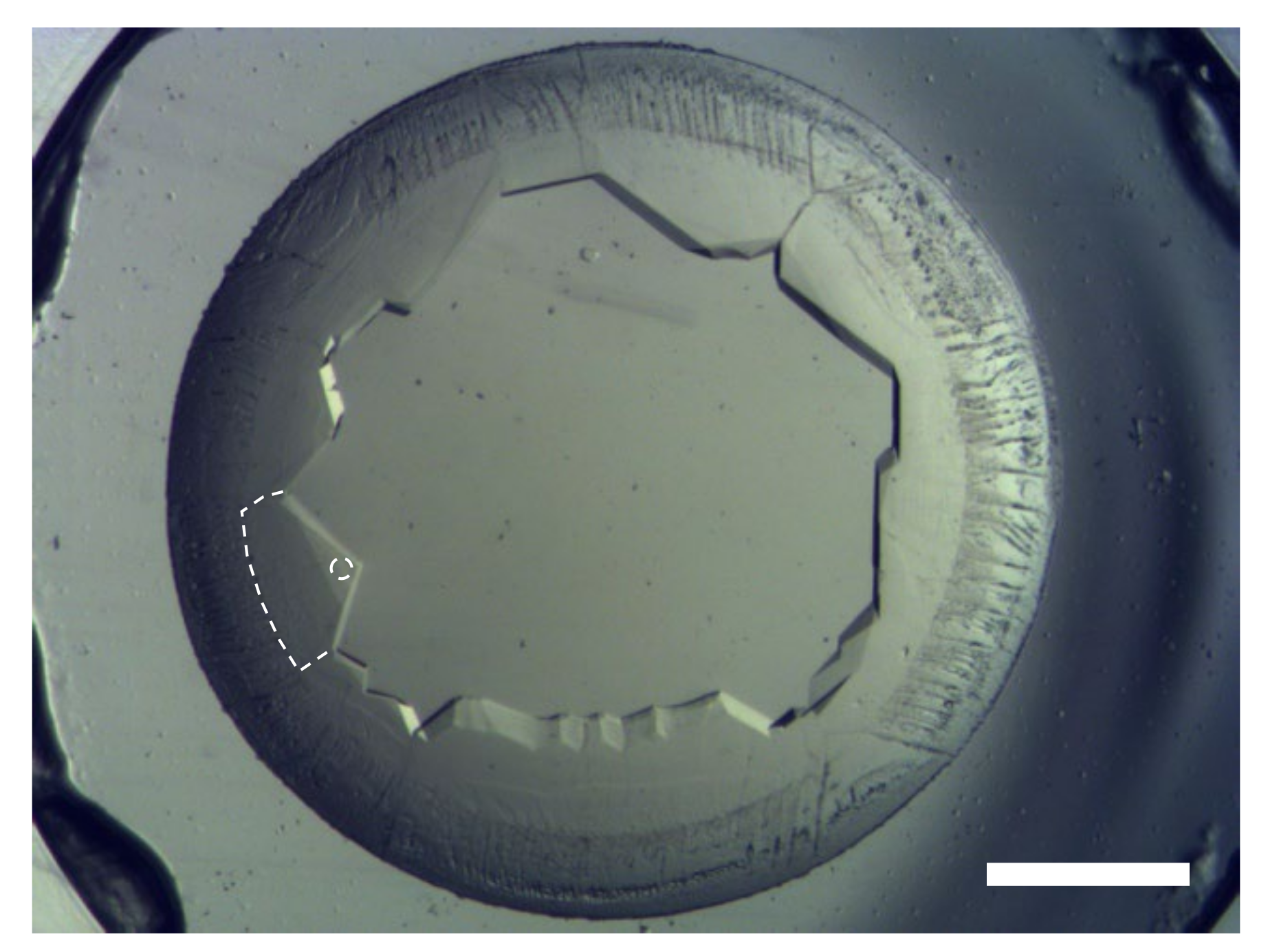 Crystals 12 00129 g004