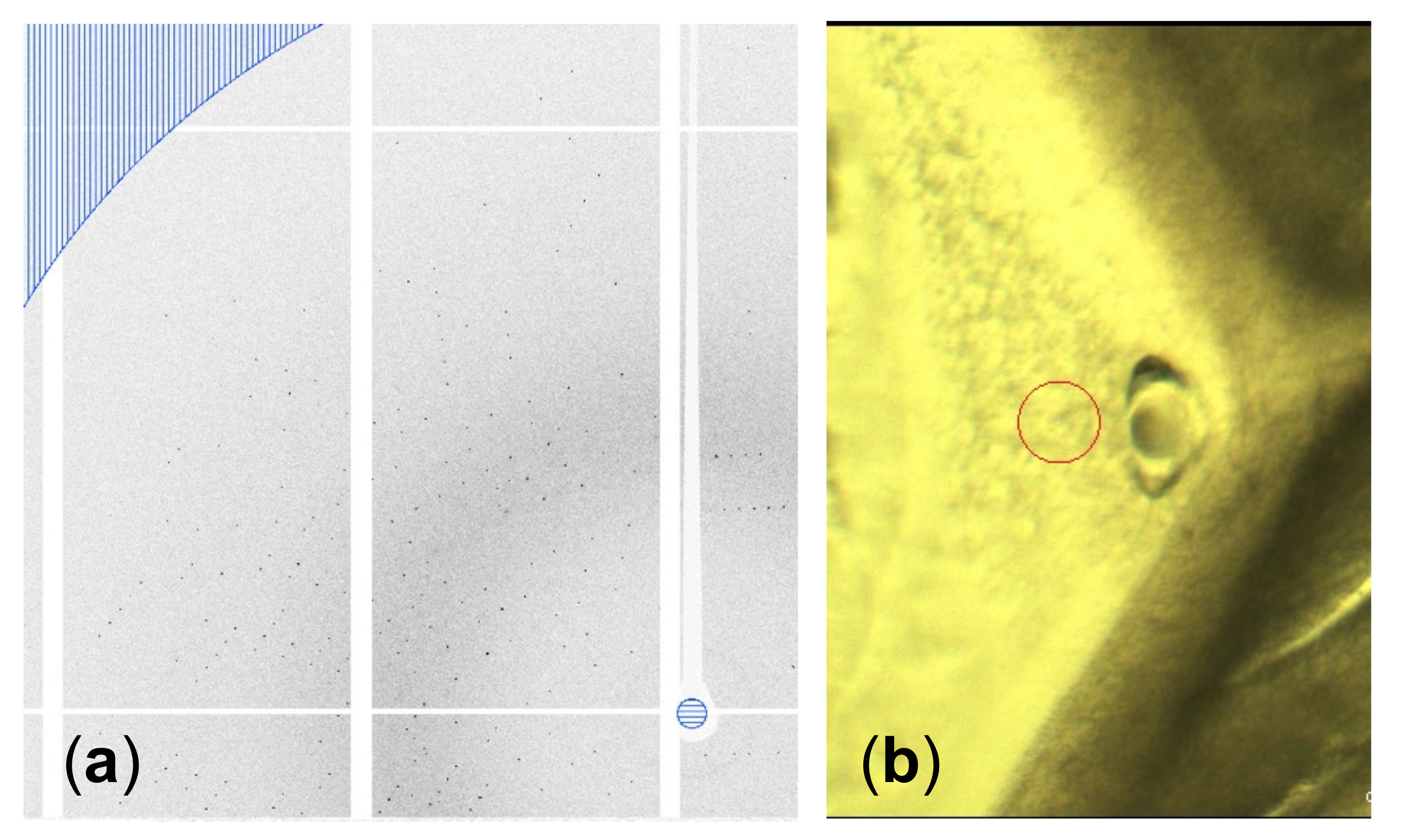 Crystals 12 00129 g005
