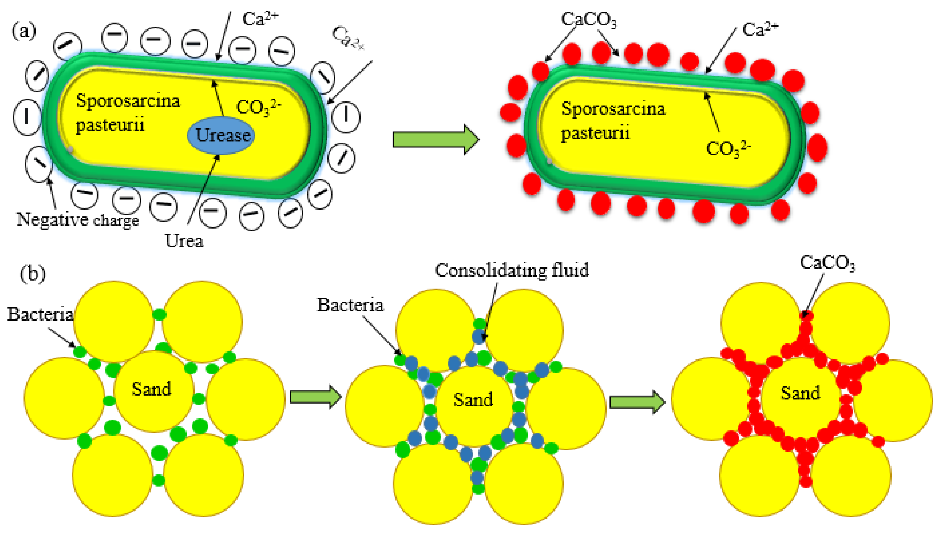 Crystals 12 00132 g001