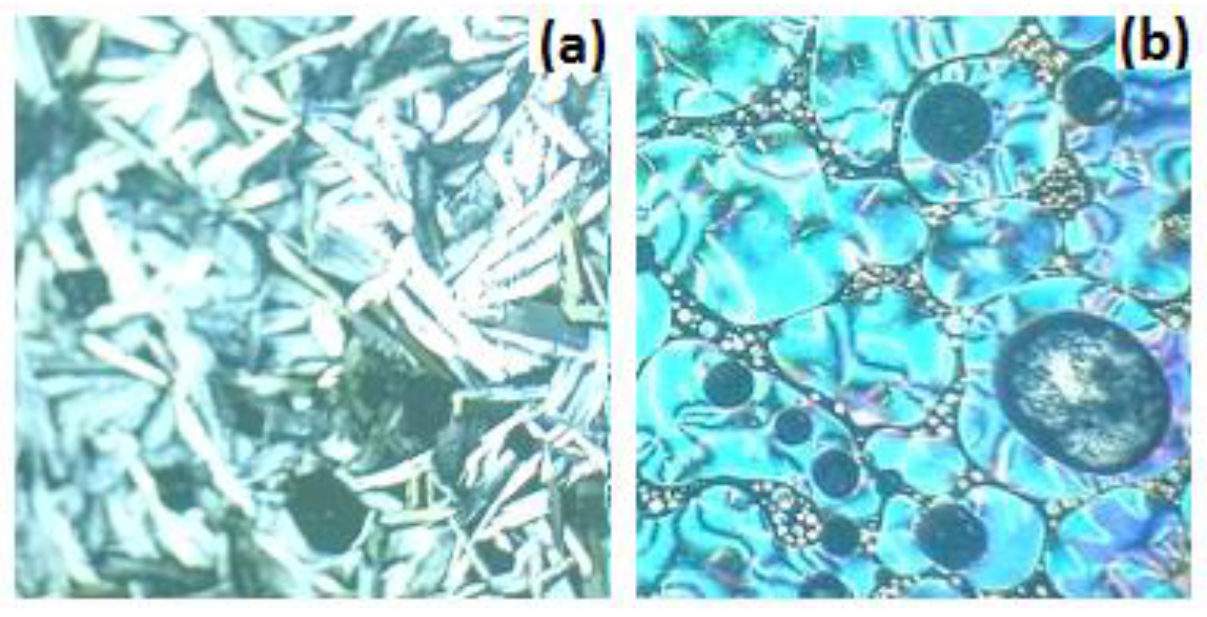 Crystals 12 00136 g002