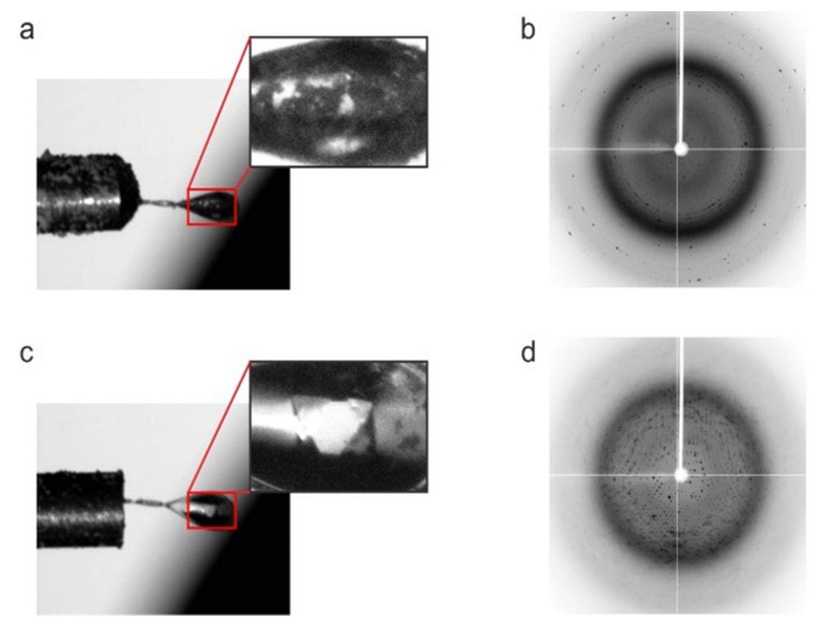 Crystals 12 00138 g003 Crystals 12 00138 g003