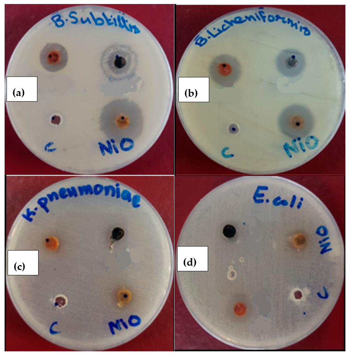 Crystals 12 00146 g010