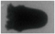 Crystals 12 00154 i005