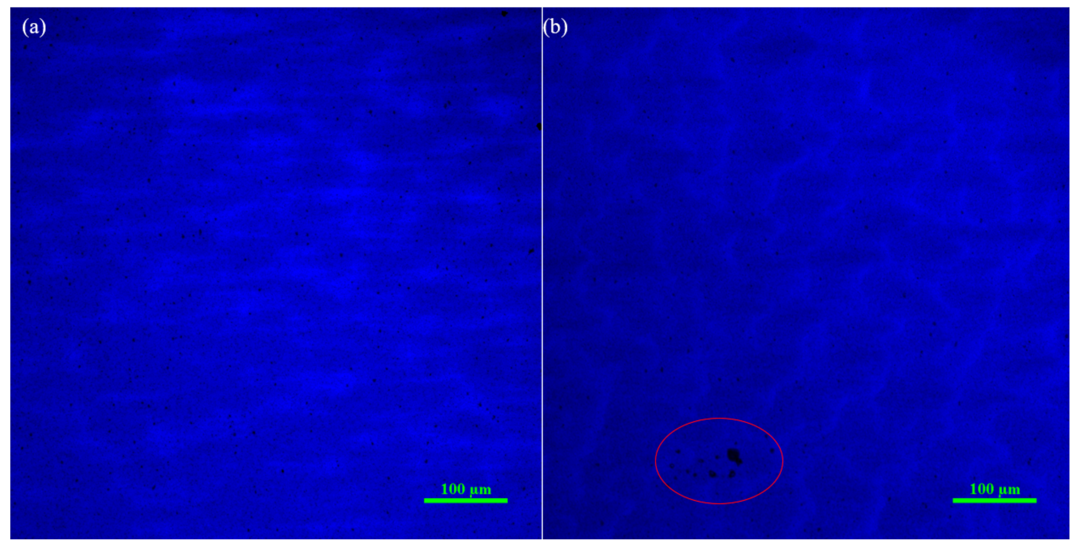 Crystals 12 00171 g006