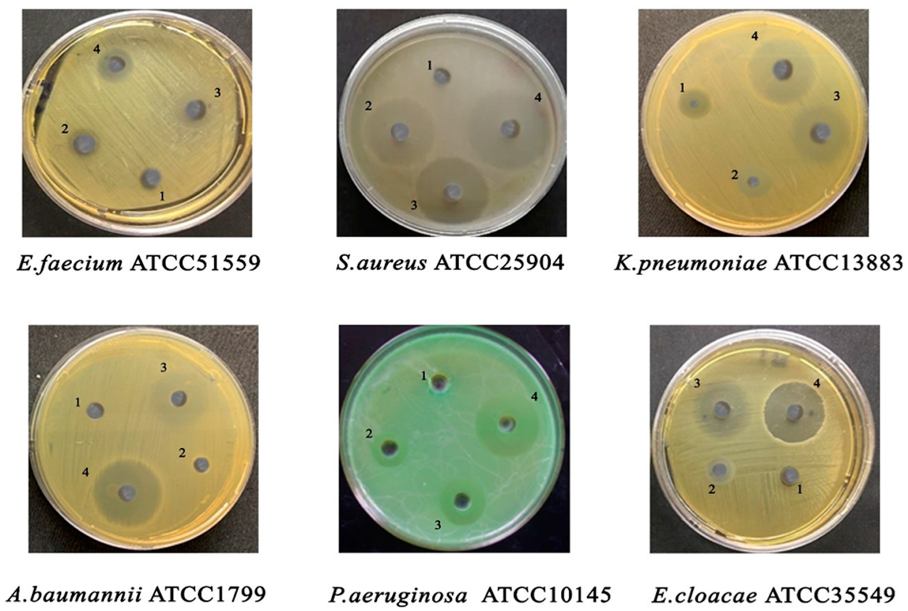 Crystals 12 00179 g005