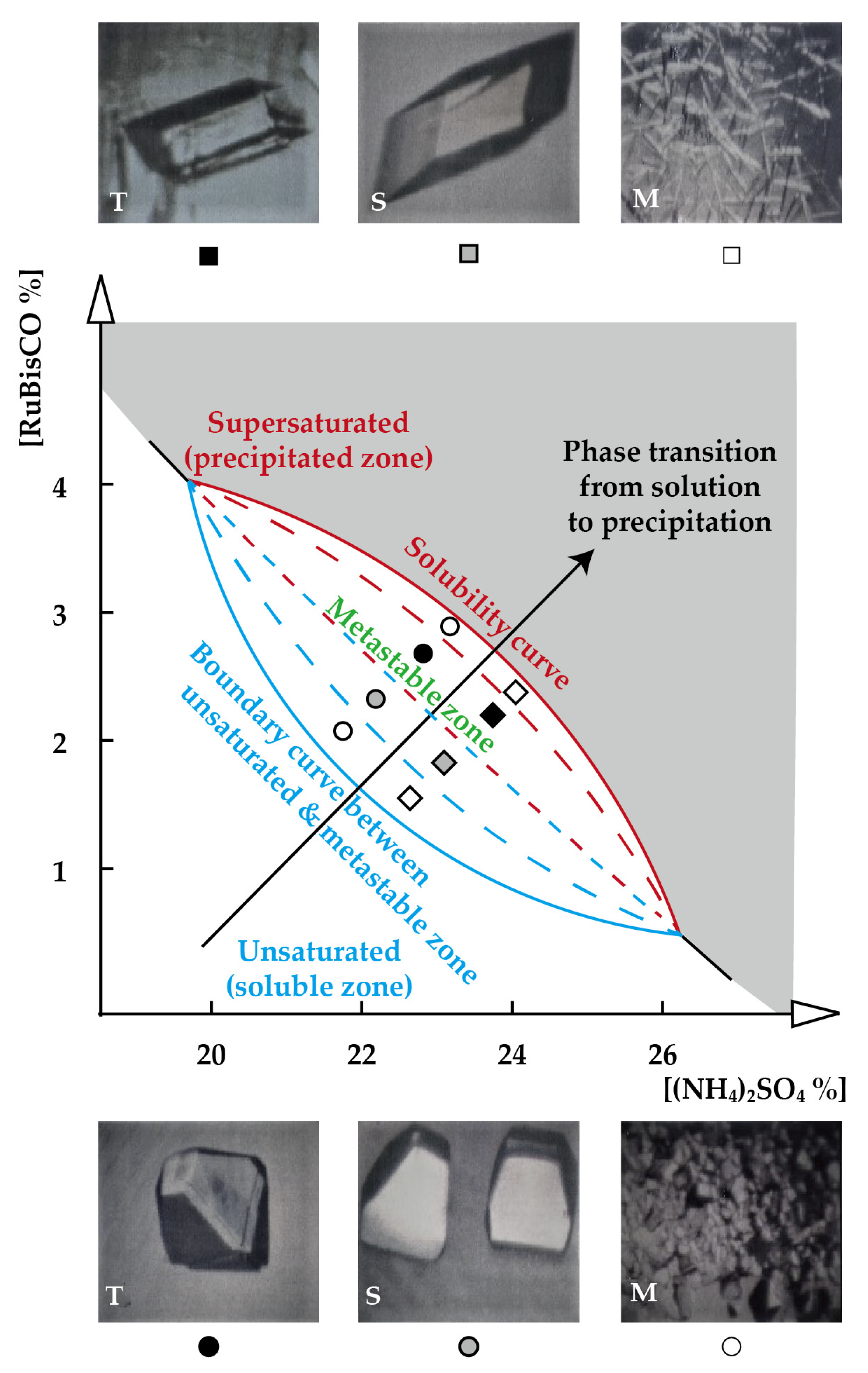 Crystals 12 00196 g002