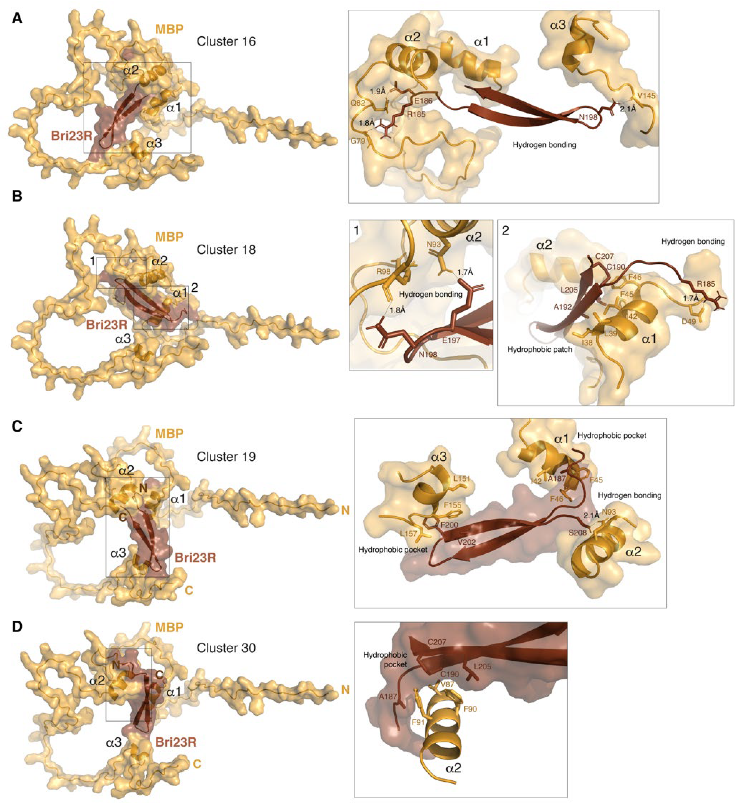 Crystals 12 00197 g004