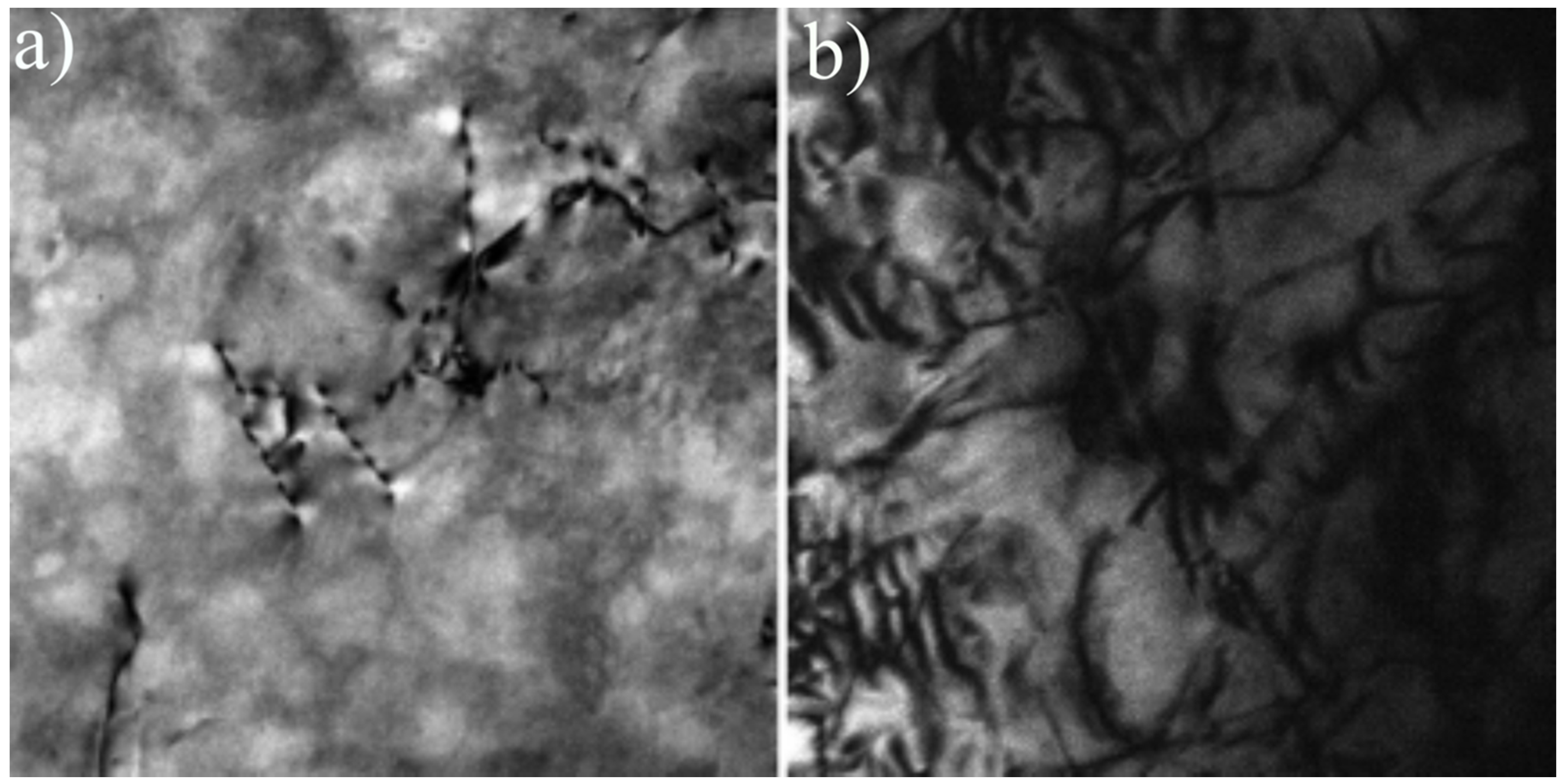 Crystals 12 00216 g008