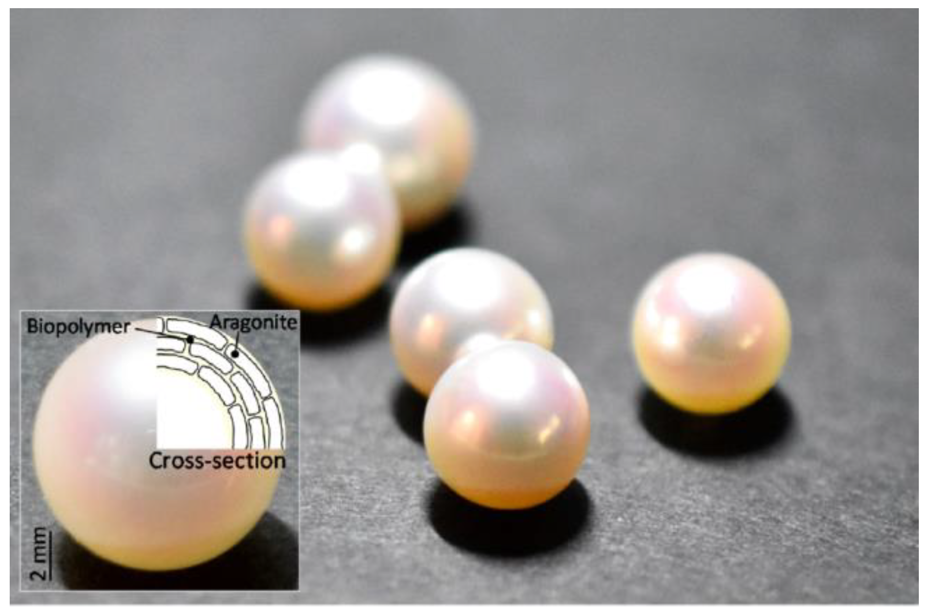 Crystals 12 00234 g004 Crystals 12 00234 g004