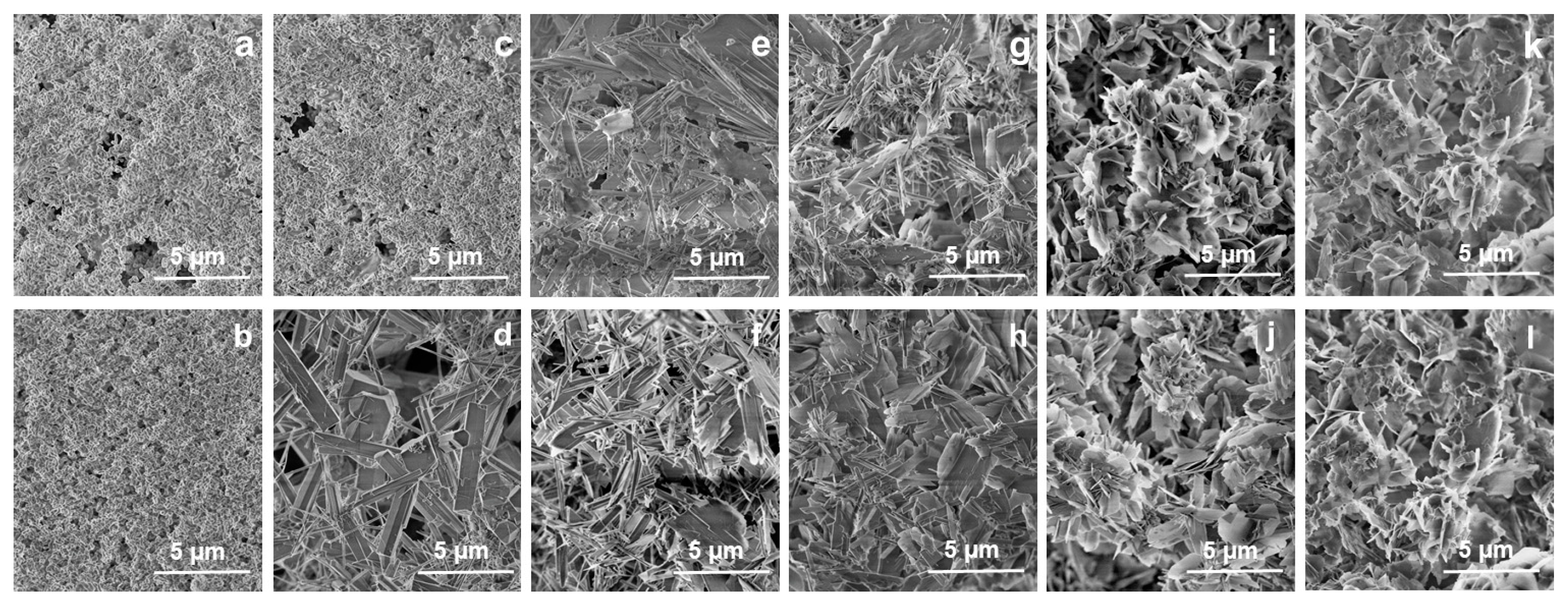 Crystals 12 00253 g006