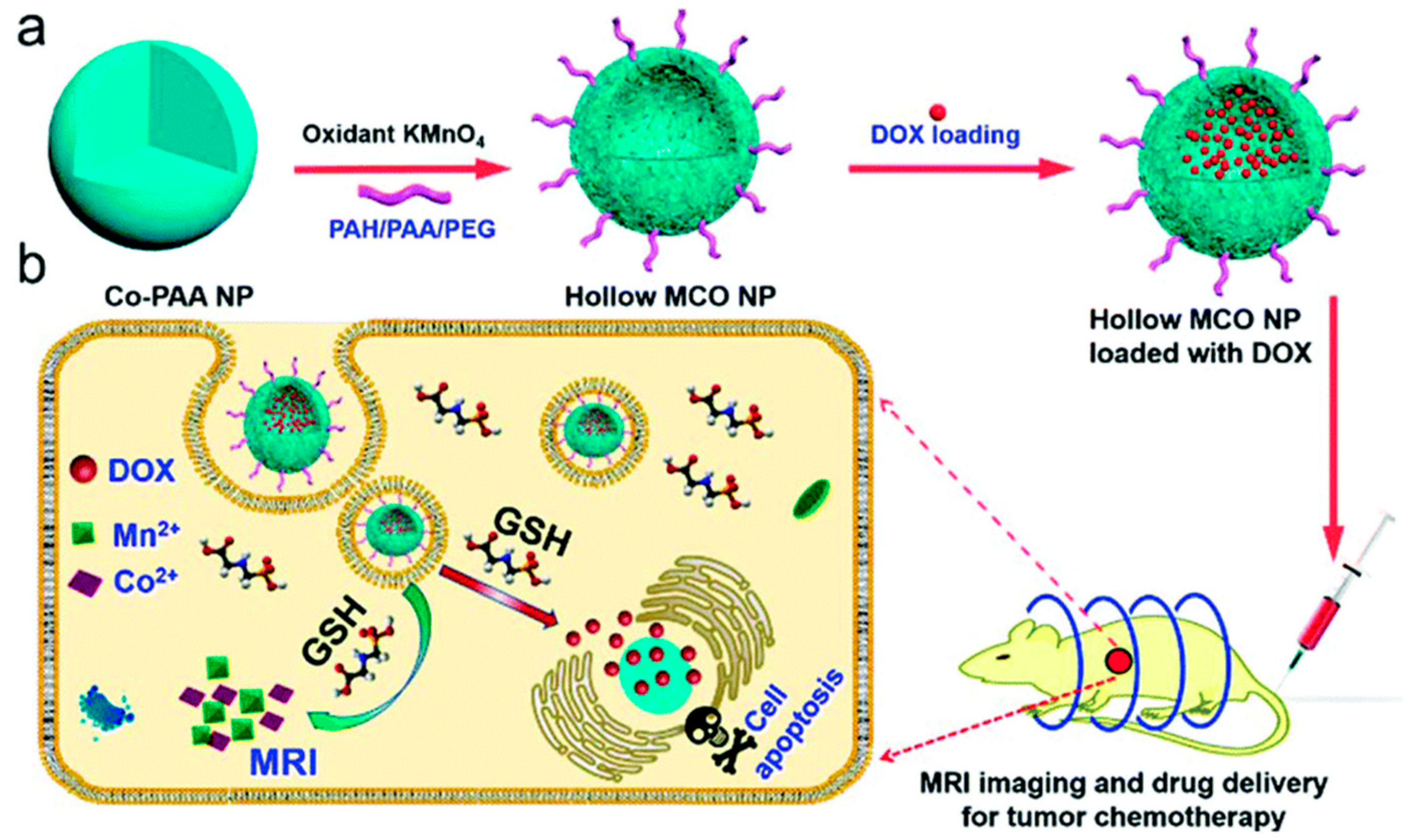 Crystals 12 00272 g005
