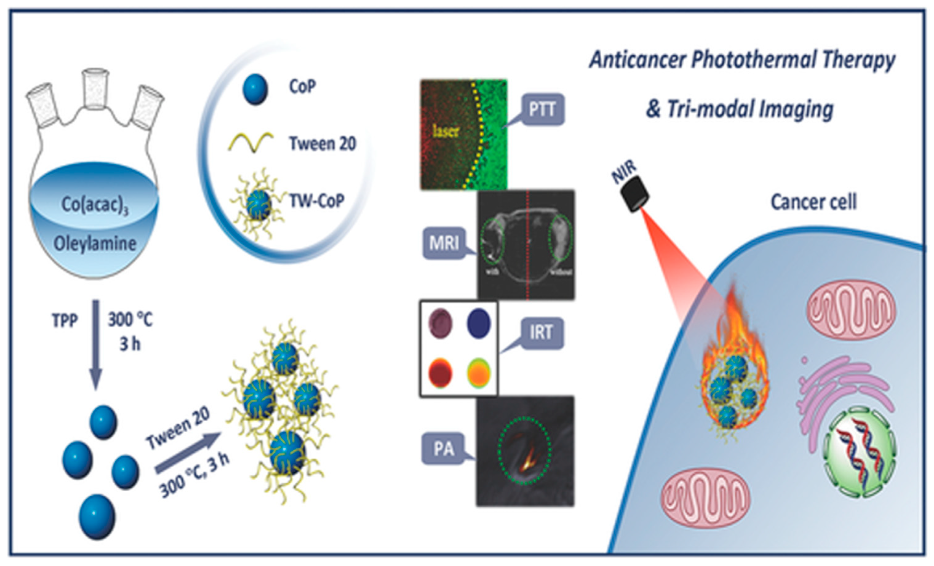 Crystals 12 00272 g006