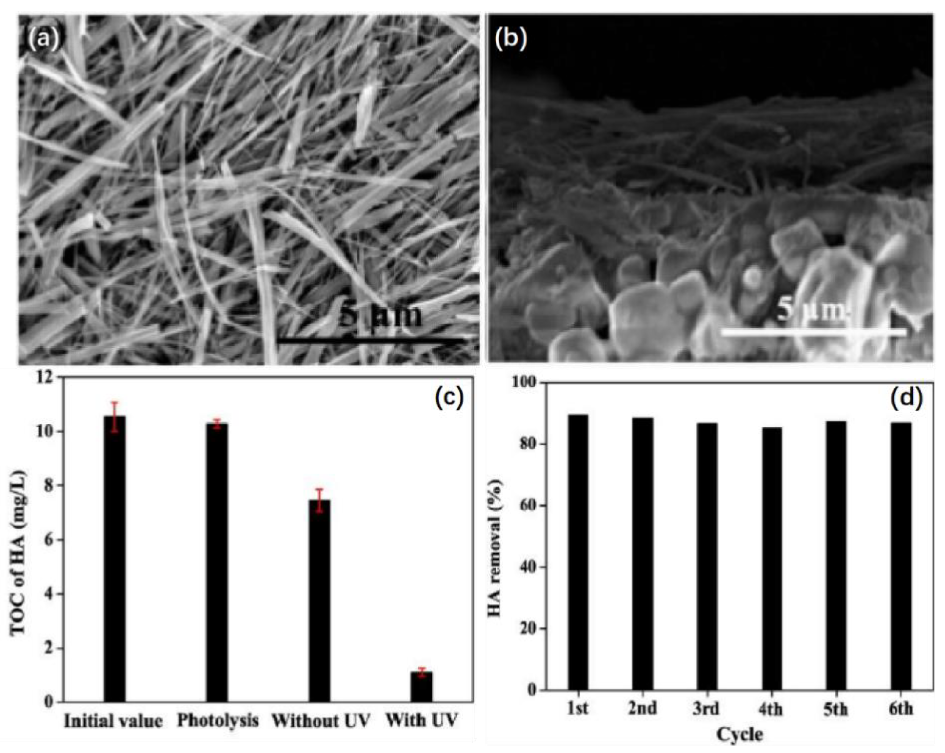 Crystals 12 00274 g004
