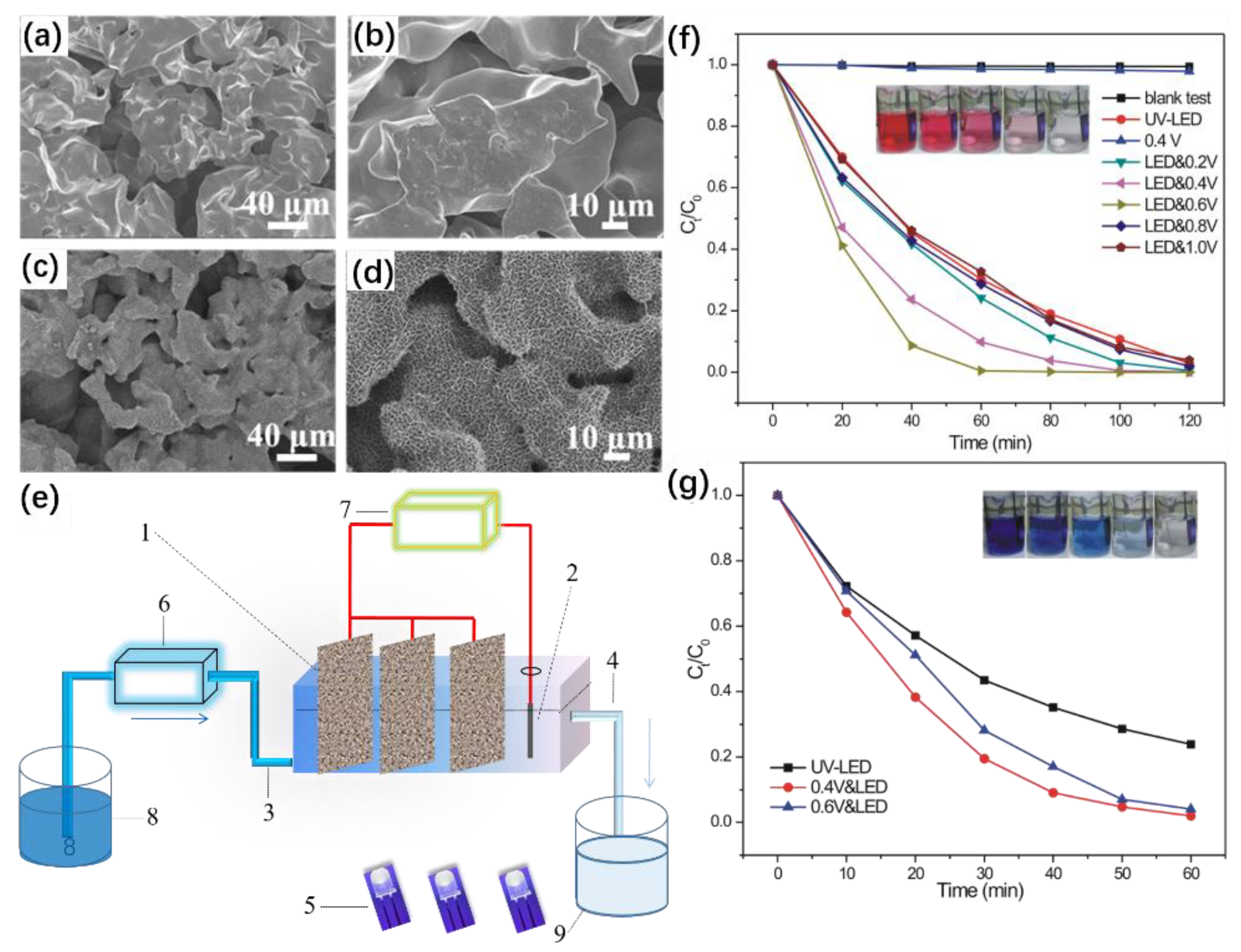 Crystals 12 00274 g005
