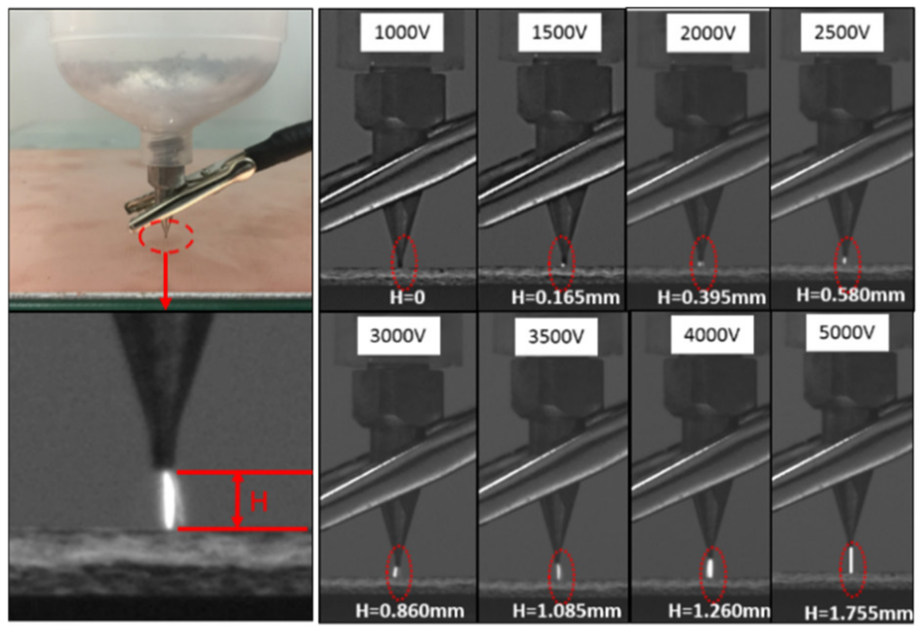 Crystals 12 00277 g004