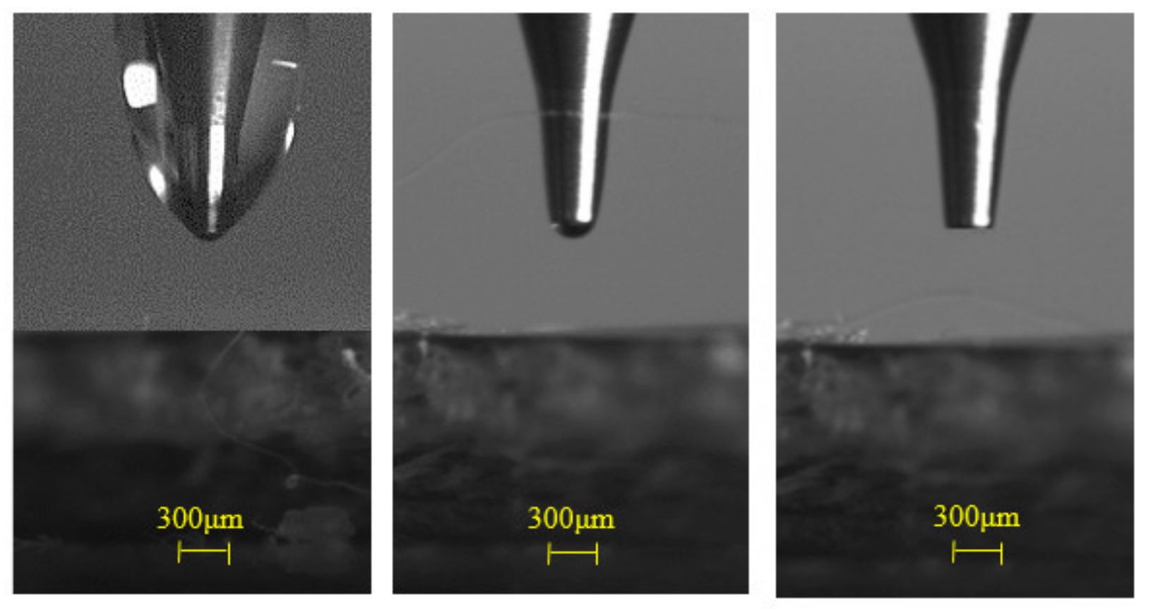 Crystals 12 00277 g005