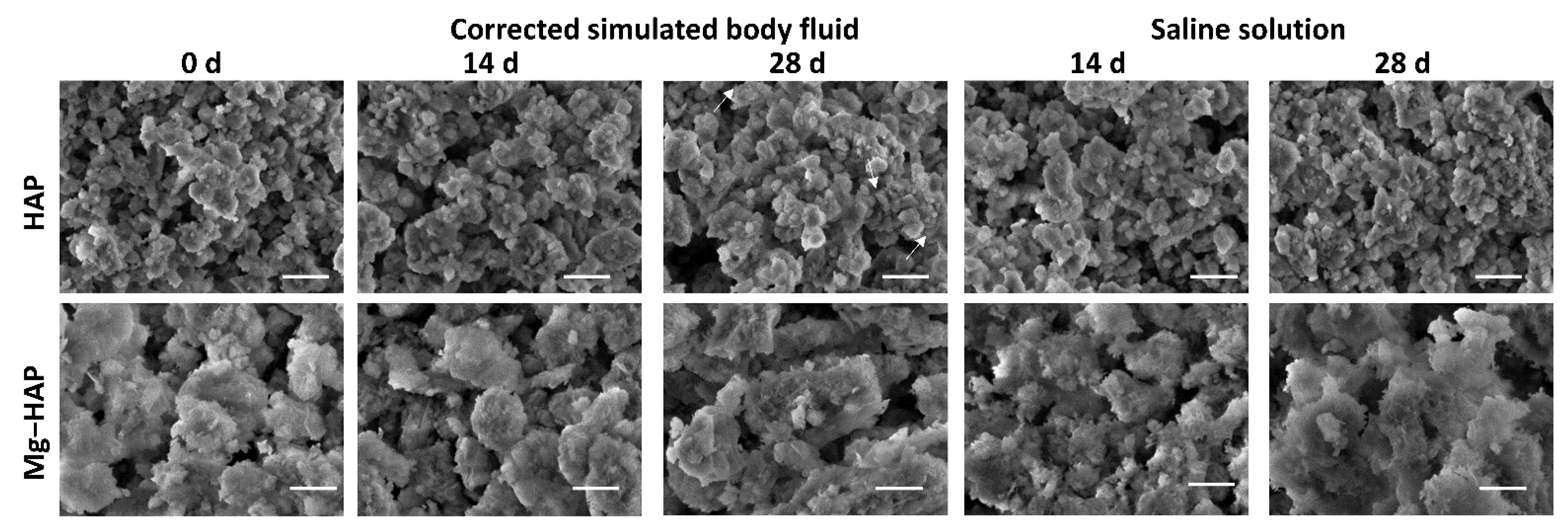 Crystals 12 00297 g003