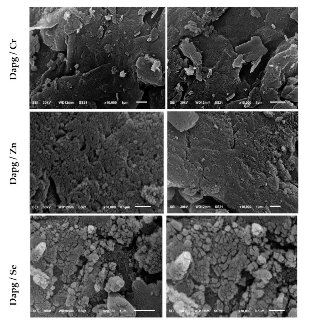 Crystals 12 00304 g005
