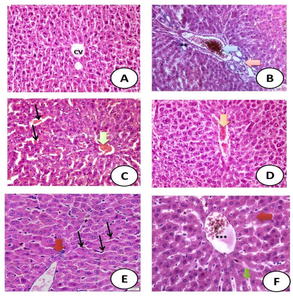 Crystals 12 00304 g007