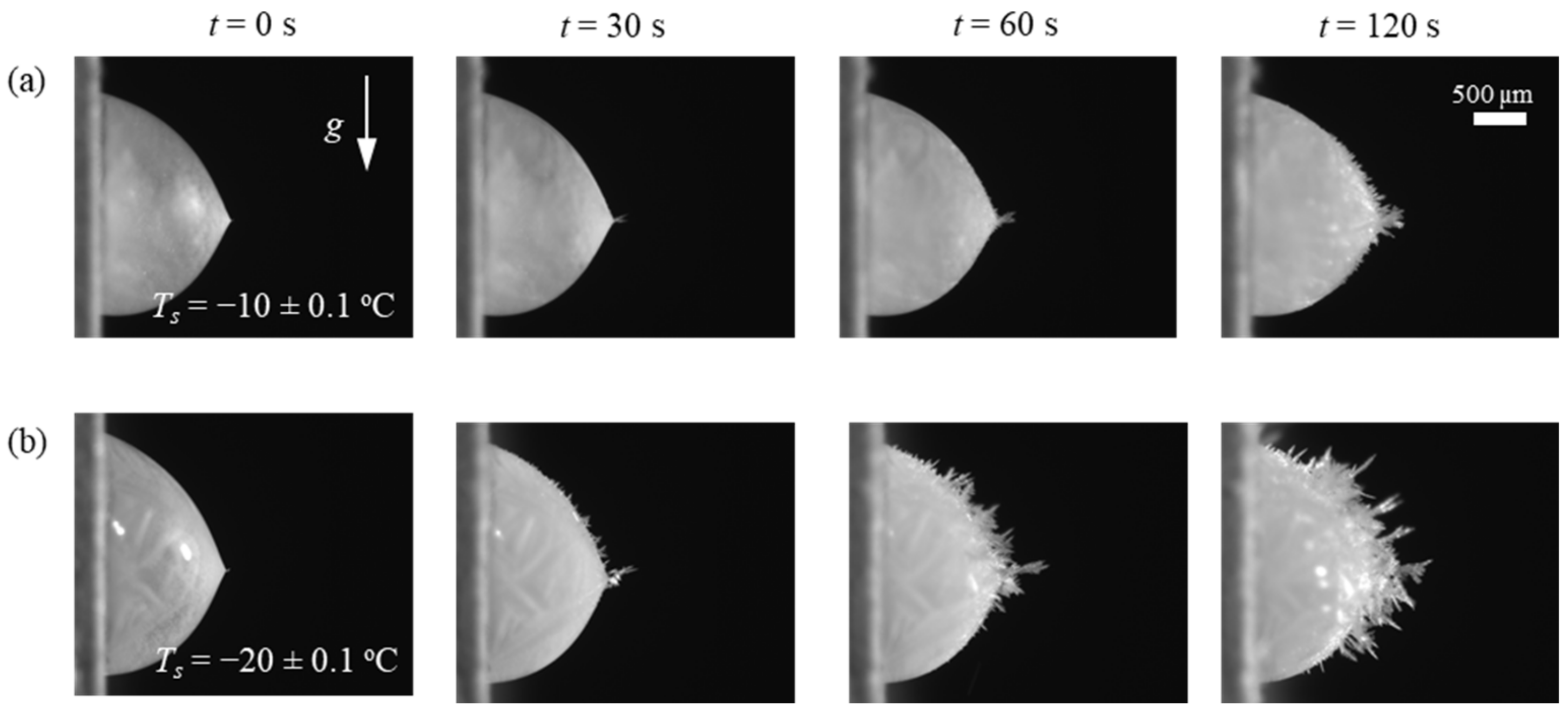 Crystals 12 00323 g007