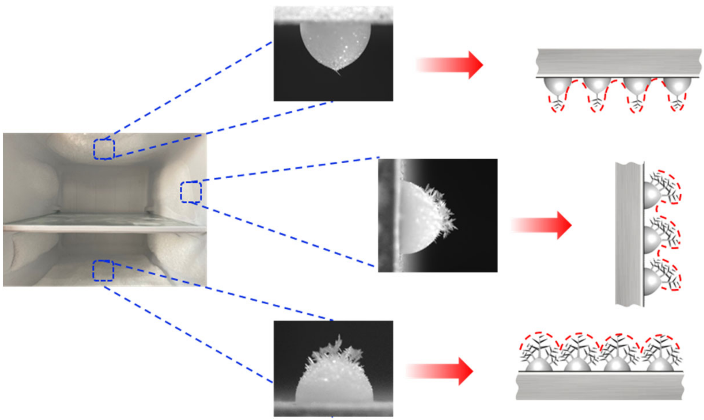 Crystals 12 00323 g008