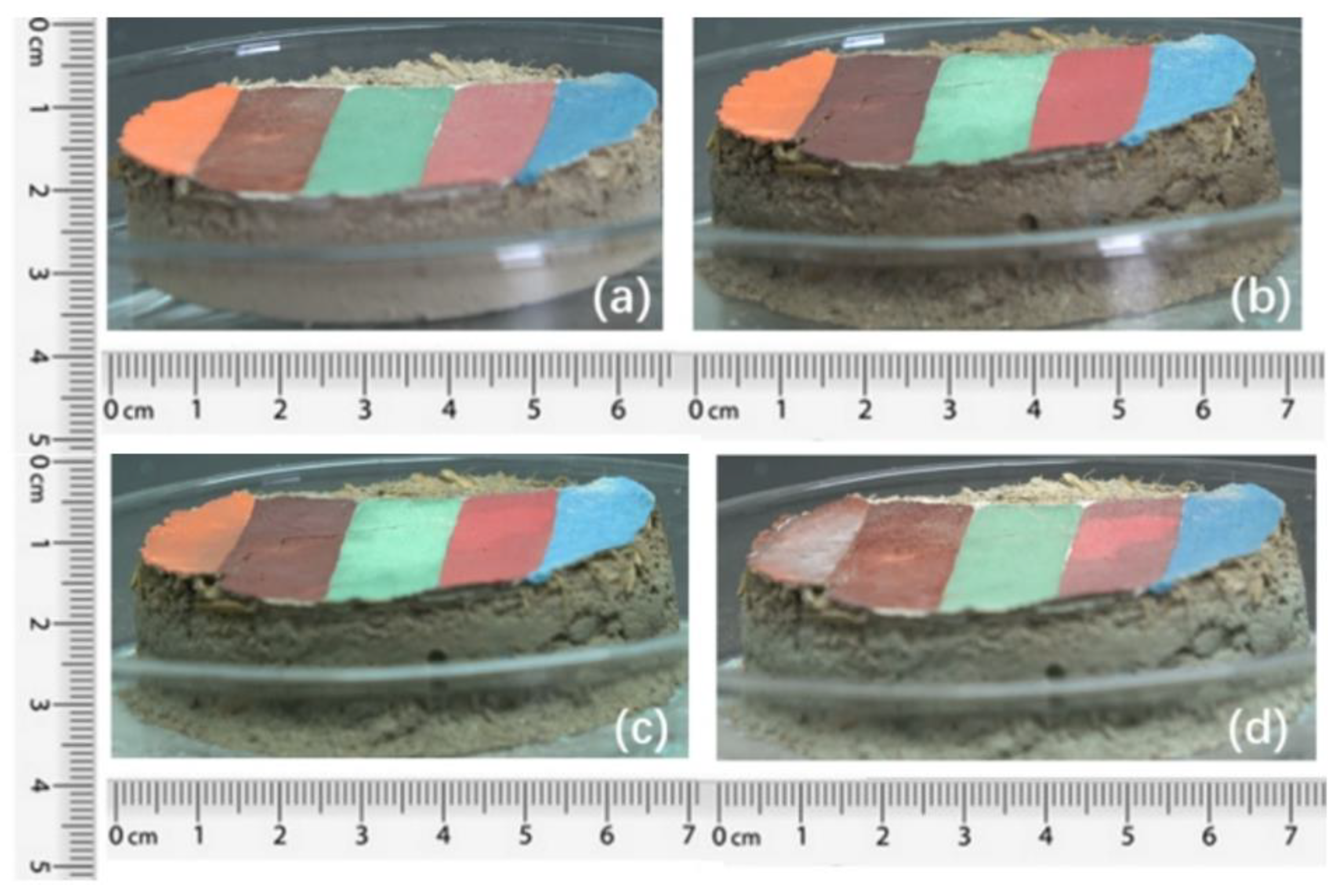 Crystals 12 00351 g009