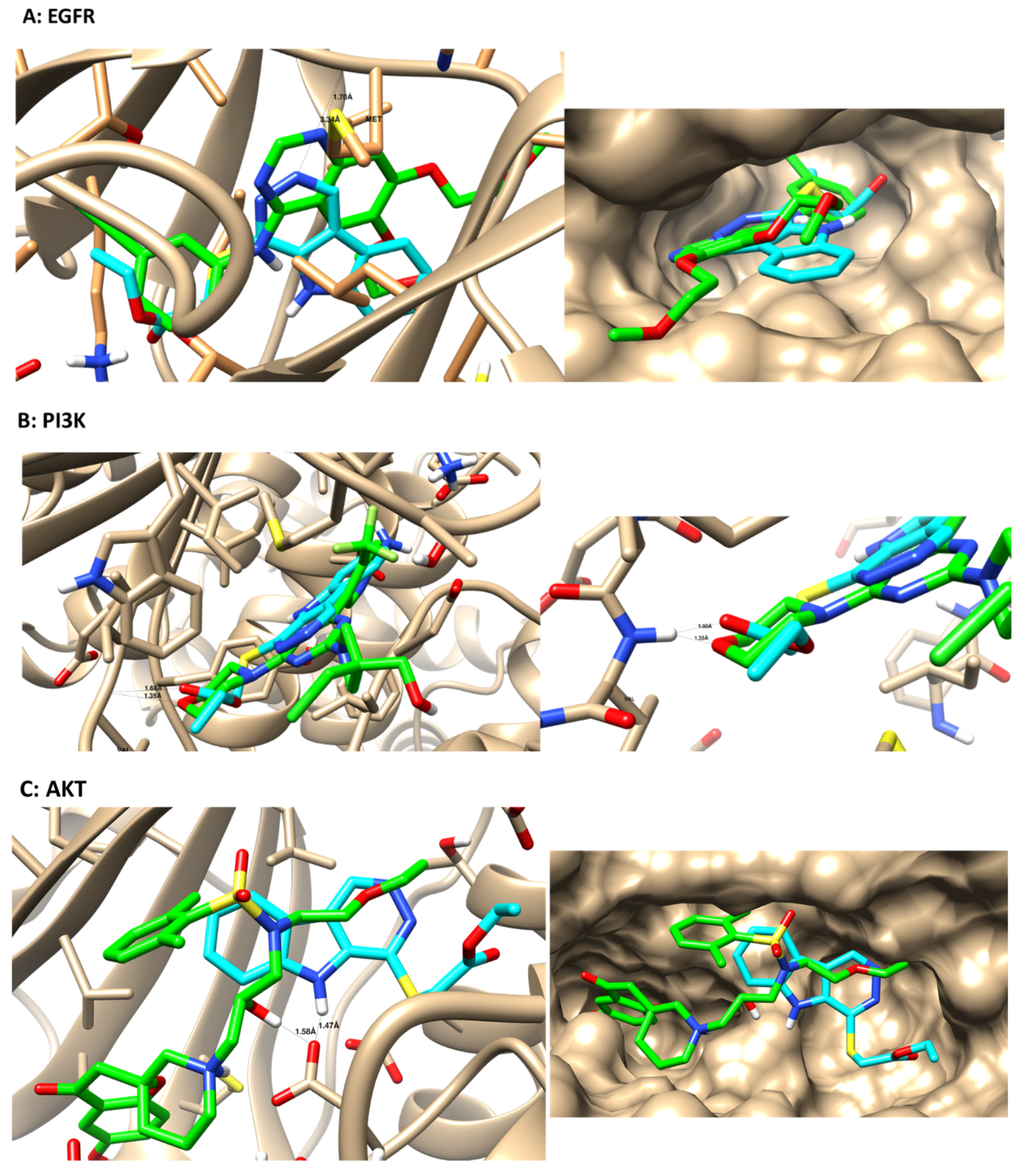 Crystals 12 00353 g006