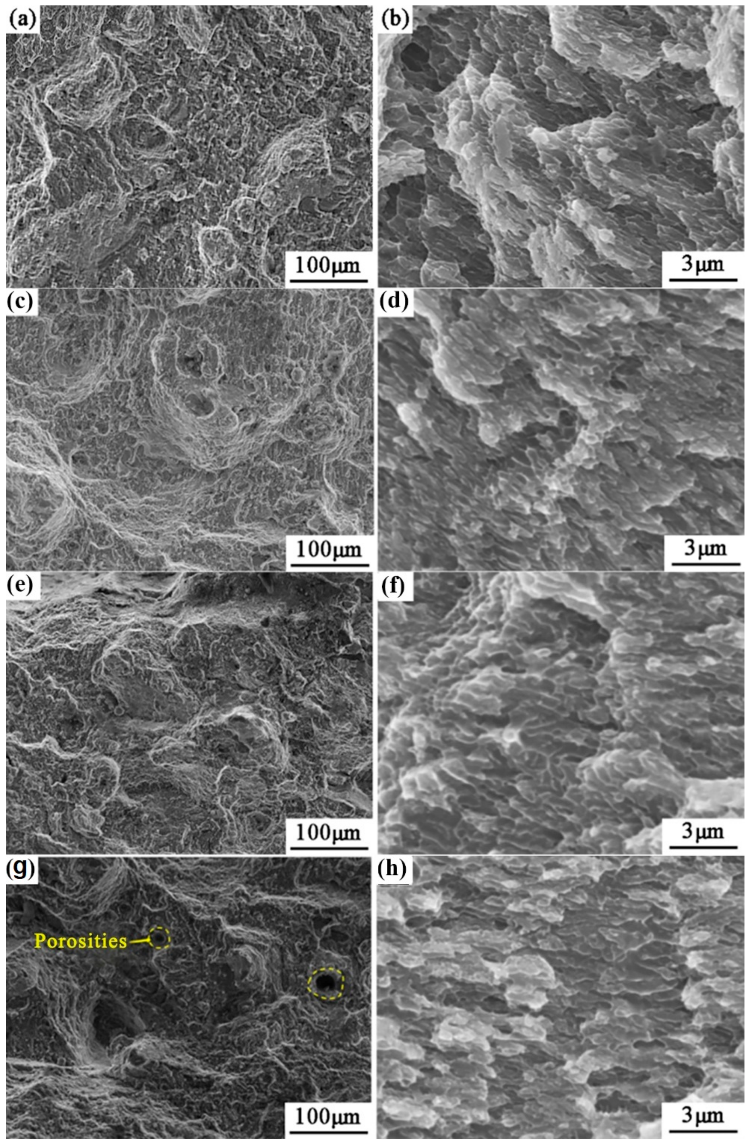 Crystals 12 00366 g007