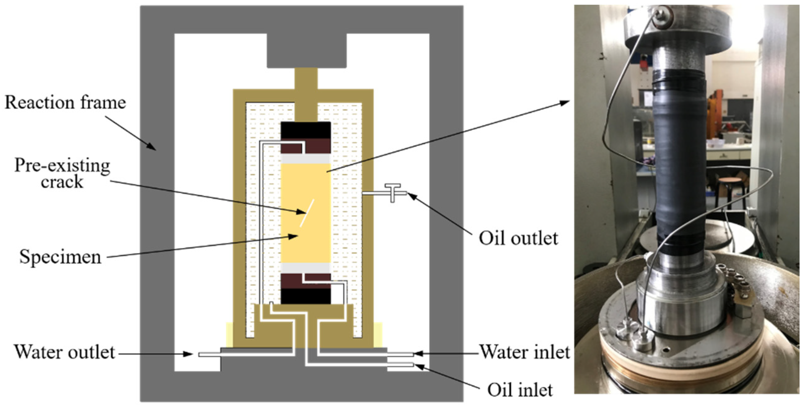 Crystals 12 00373 g007