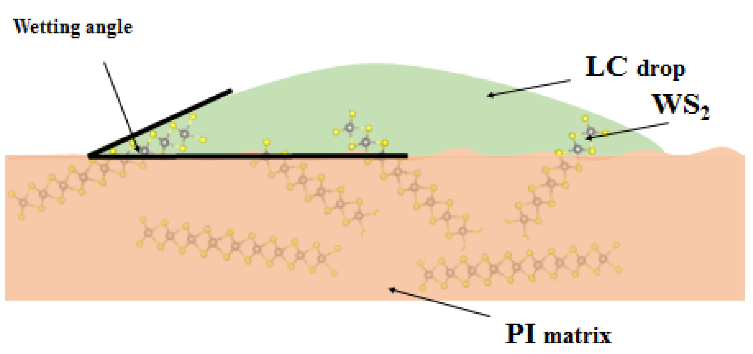 Crystals 12 00391 g005