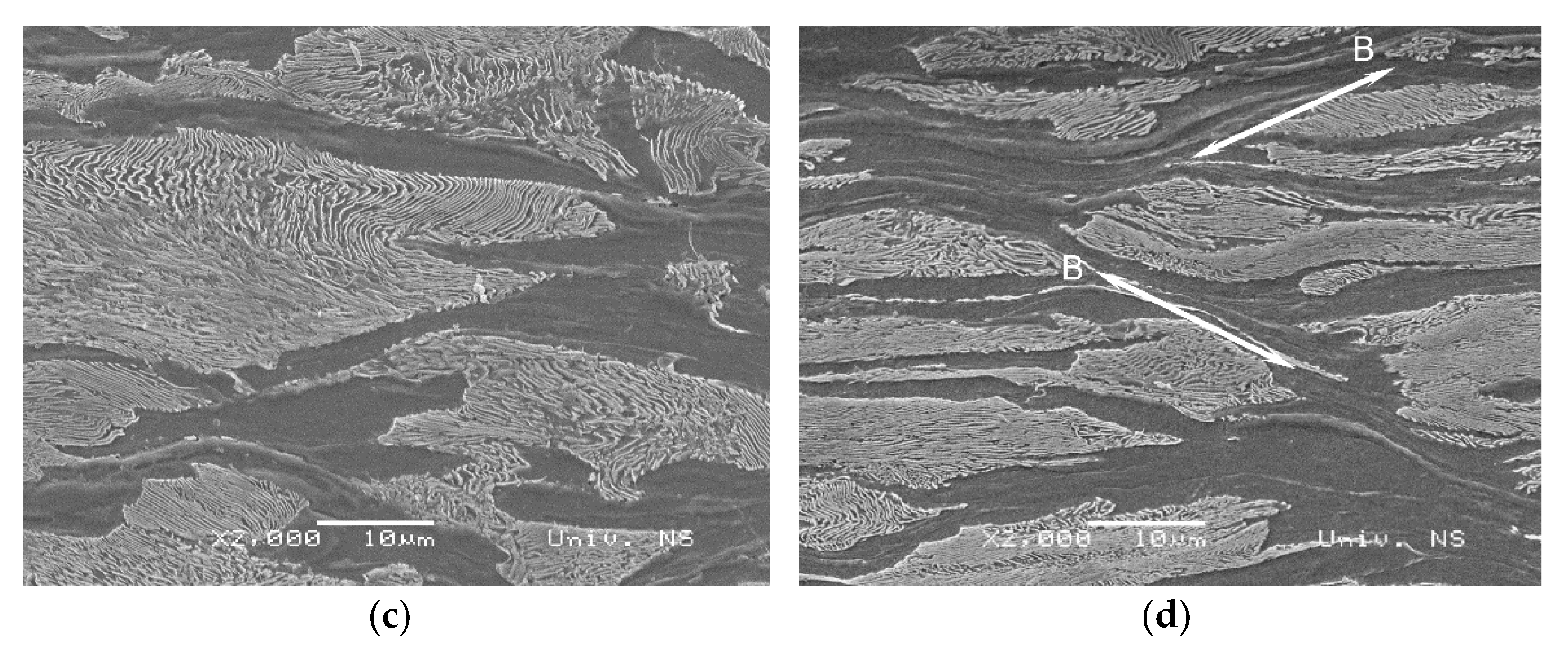 Crystals 12 00426 g005b