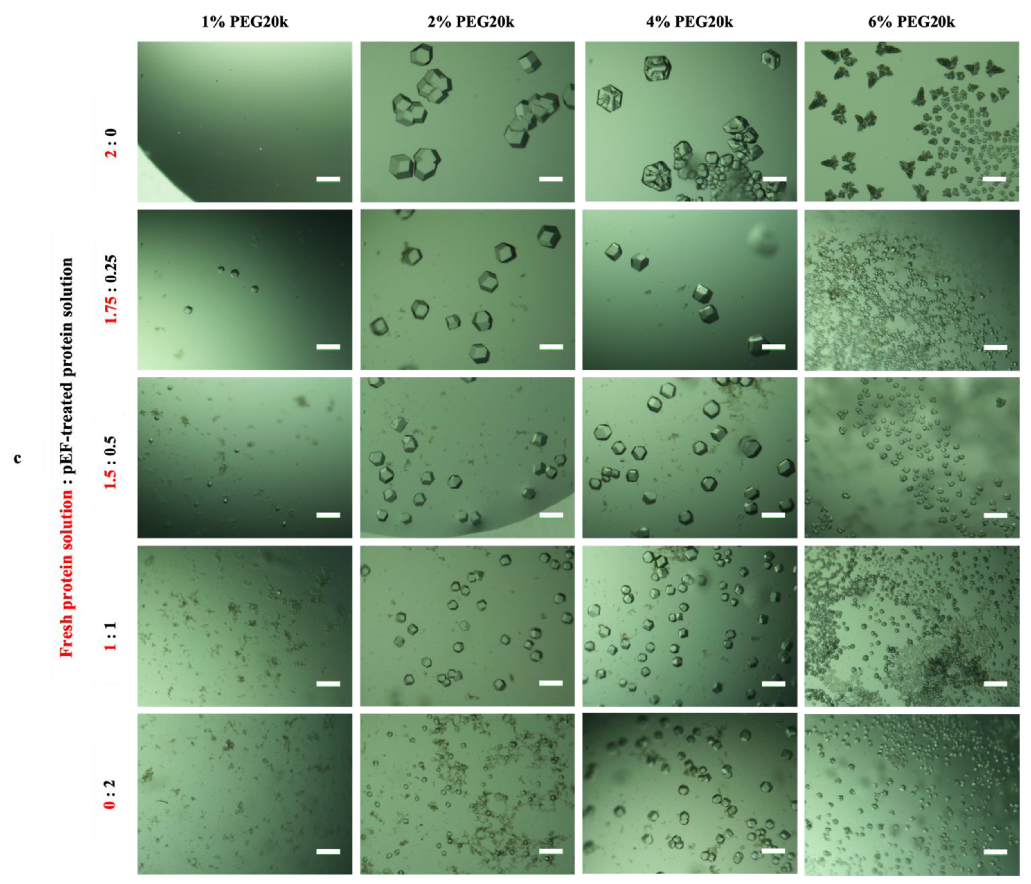 Crystals 12 00437 g008b