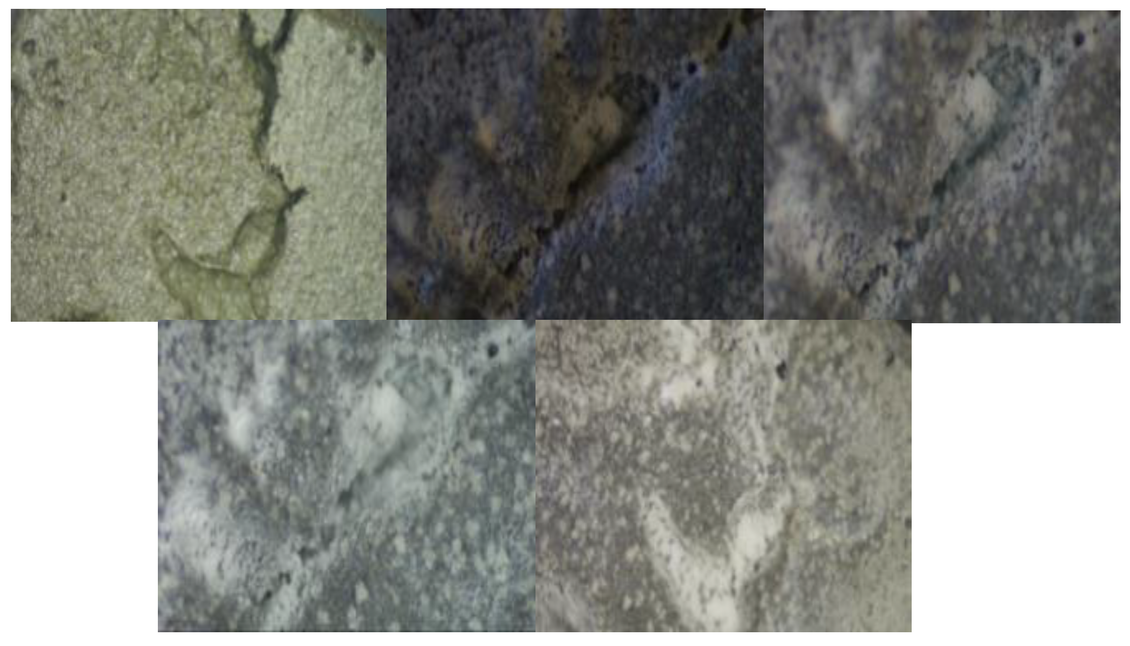 Crystals 12 00445 g007