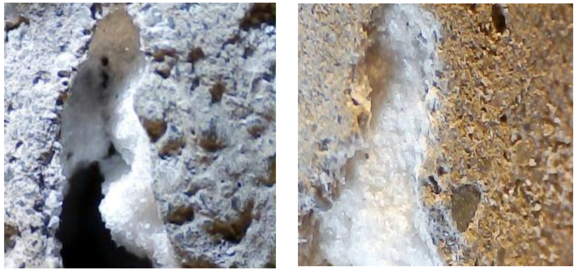 Crystals 12 00445 g011