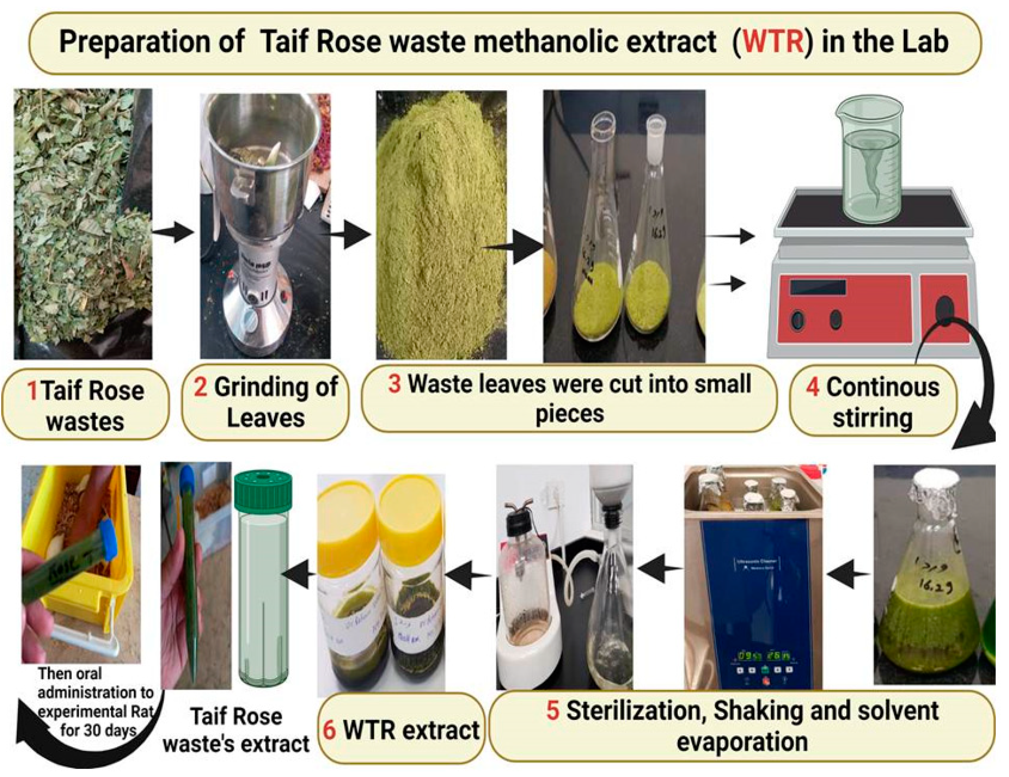 Crystals 12 00460 g001