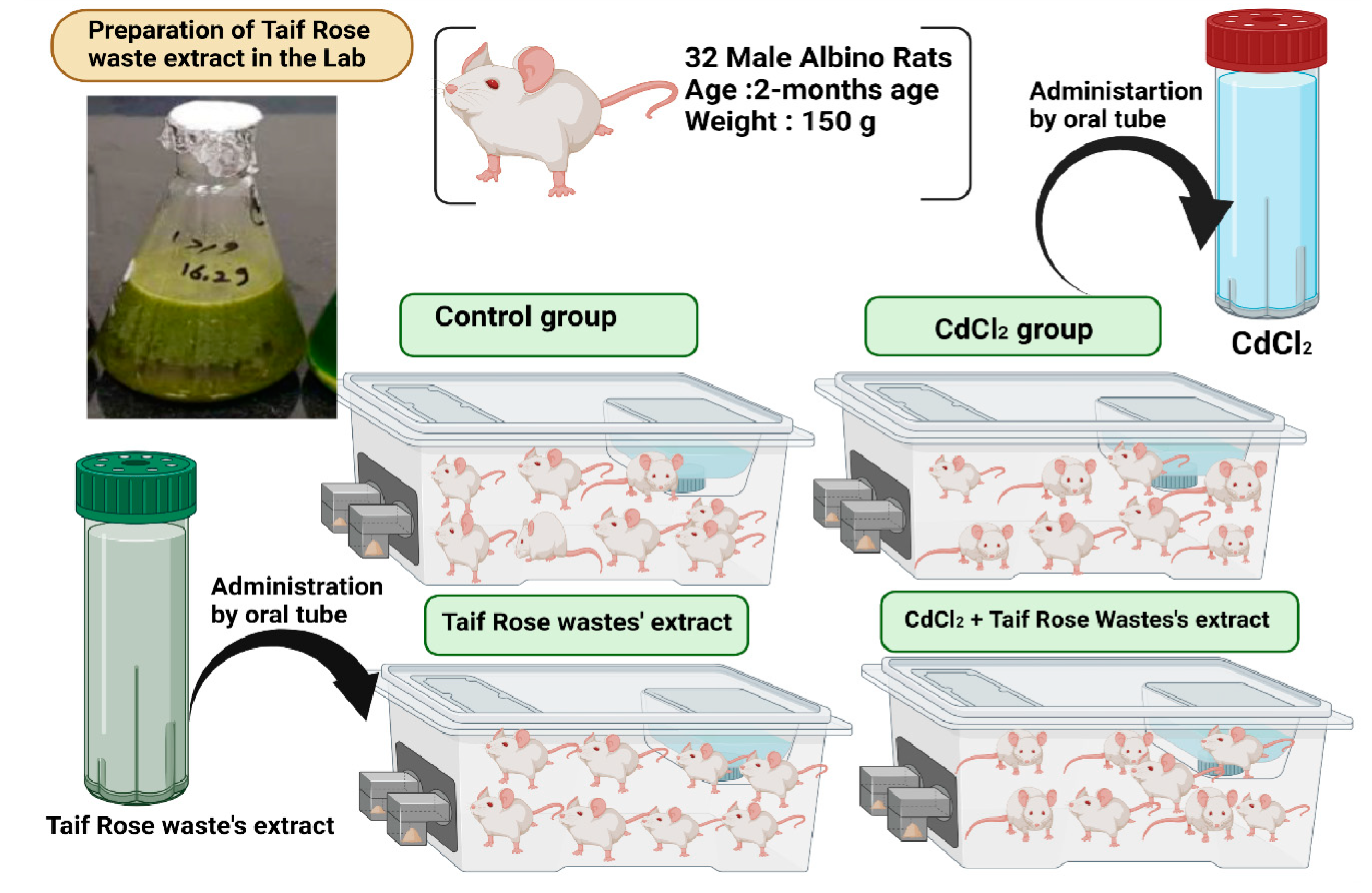 Crystals 12 00460 g002