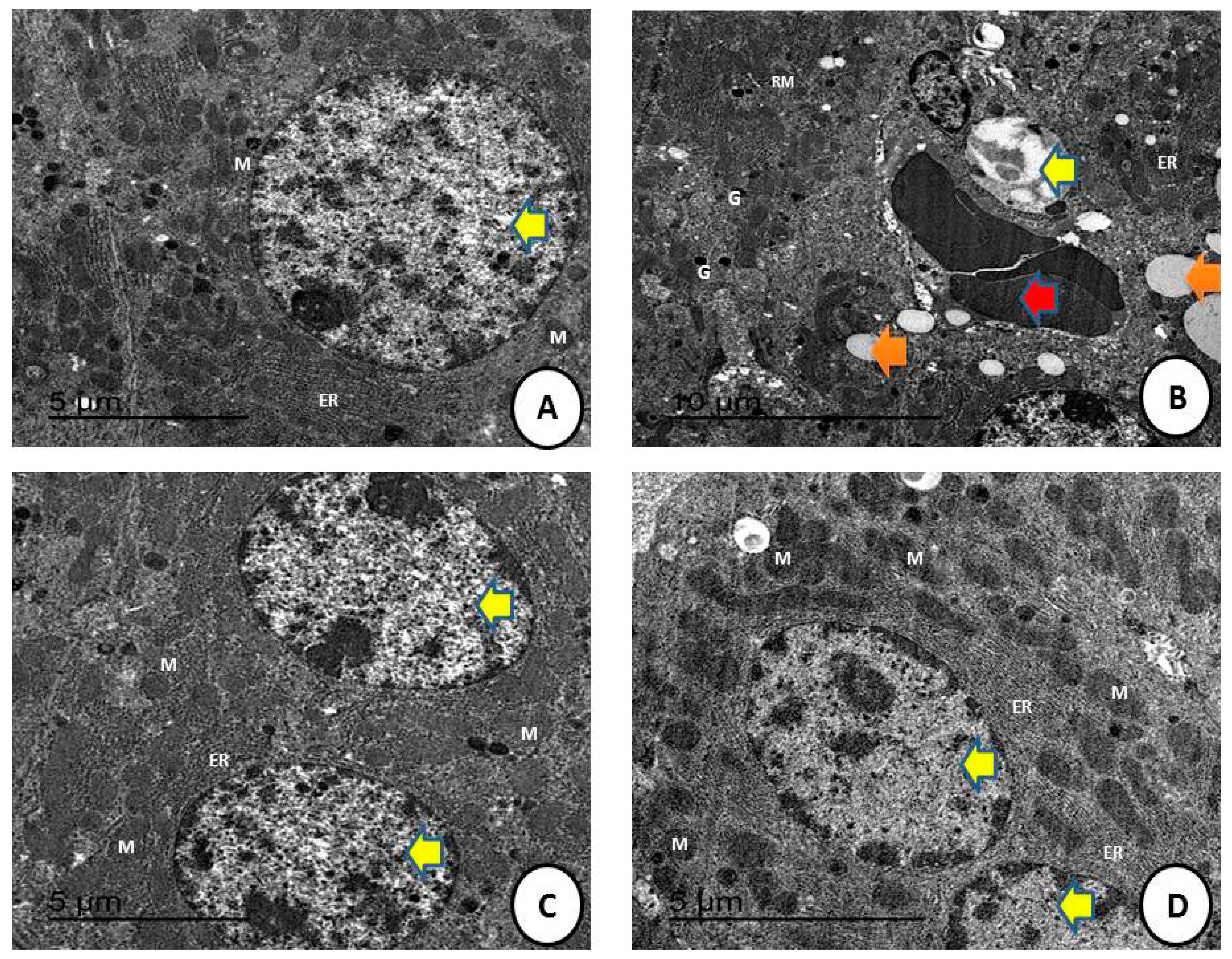 Crystals 12 00460 g009