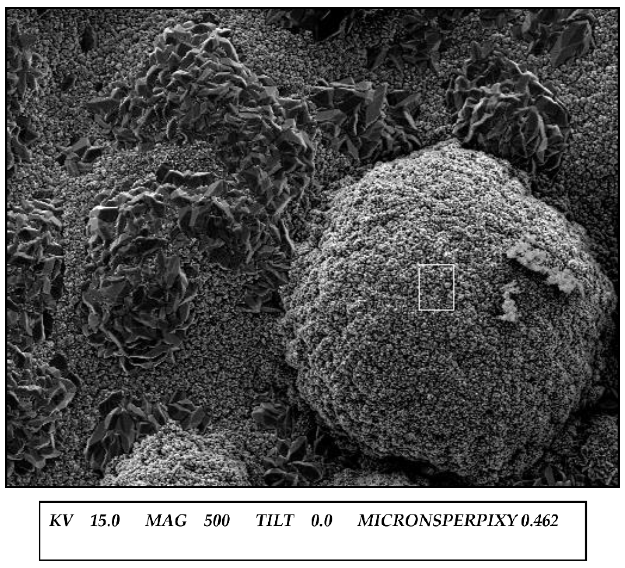 Crystals 12 00482 g002