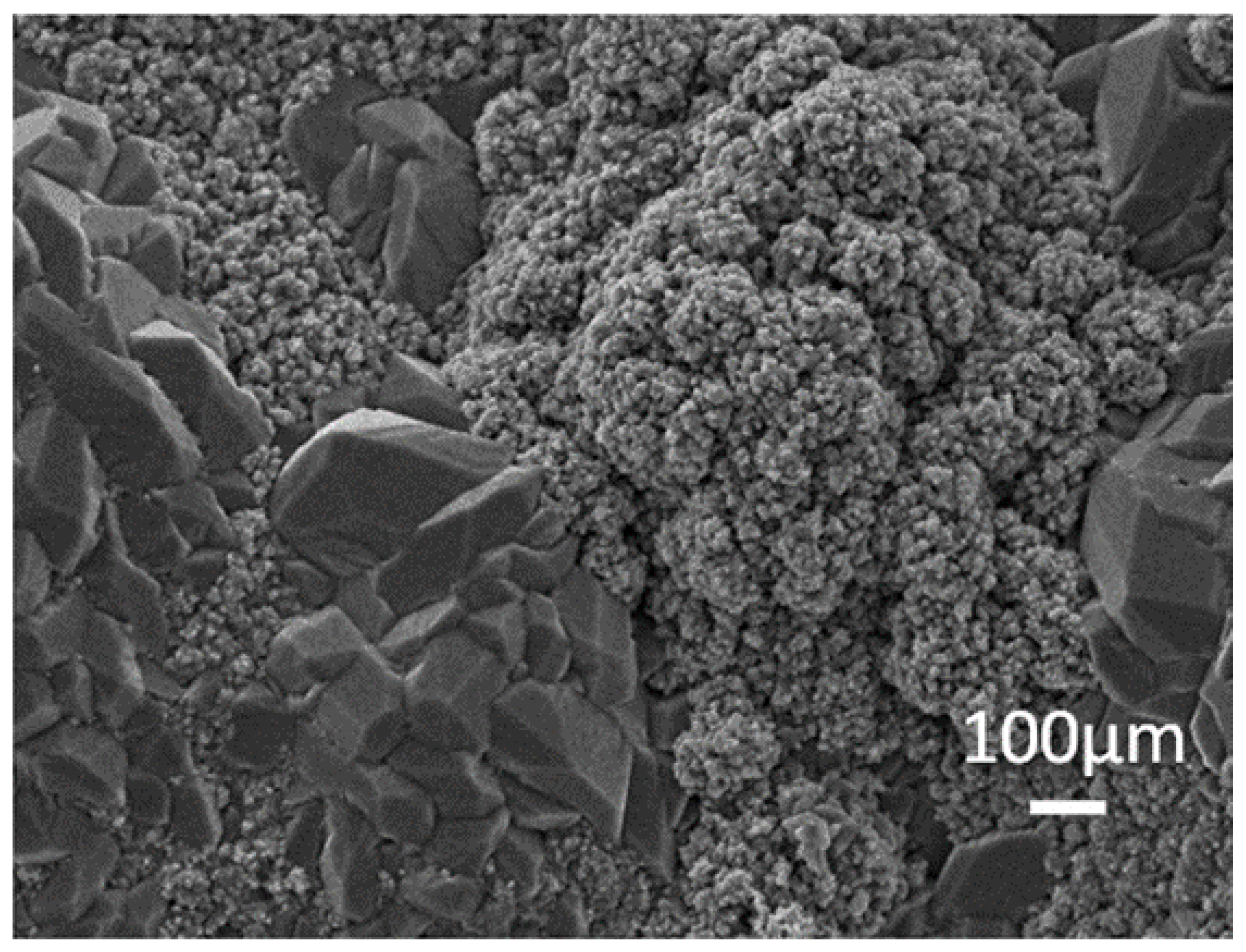 Crystals 12 00482 g007